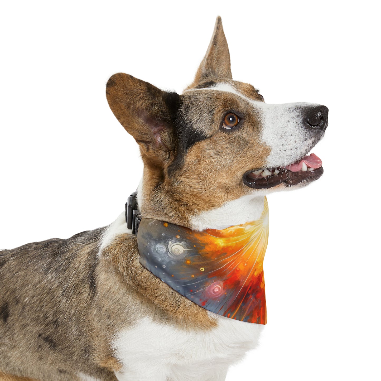 Luminous Abstract Tachism Pet Bandana Collar