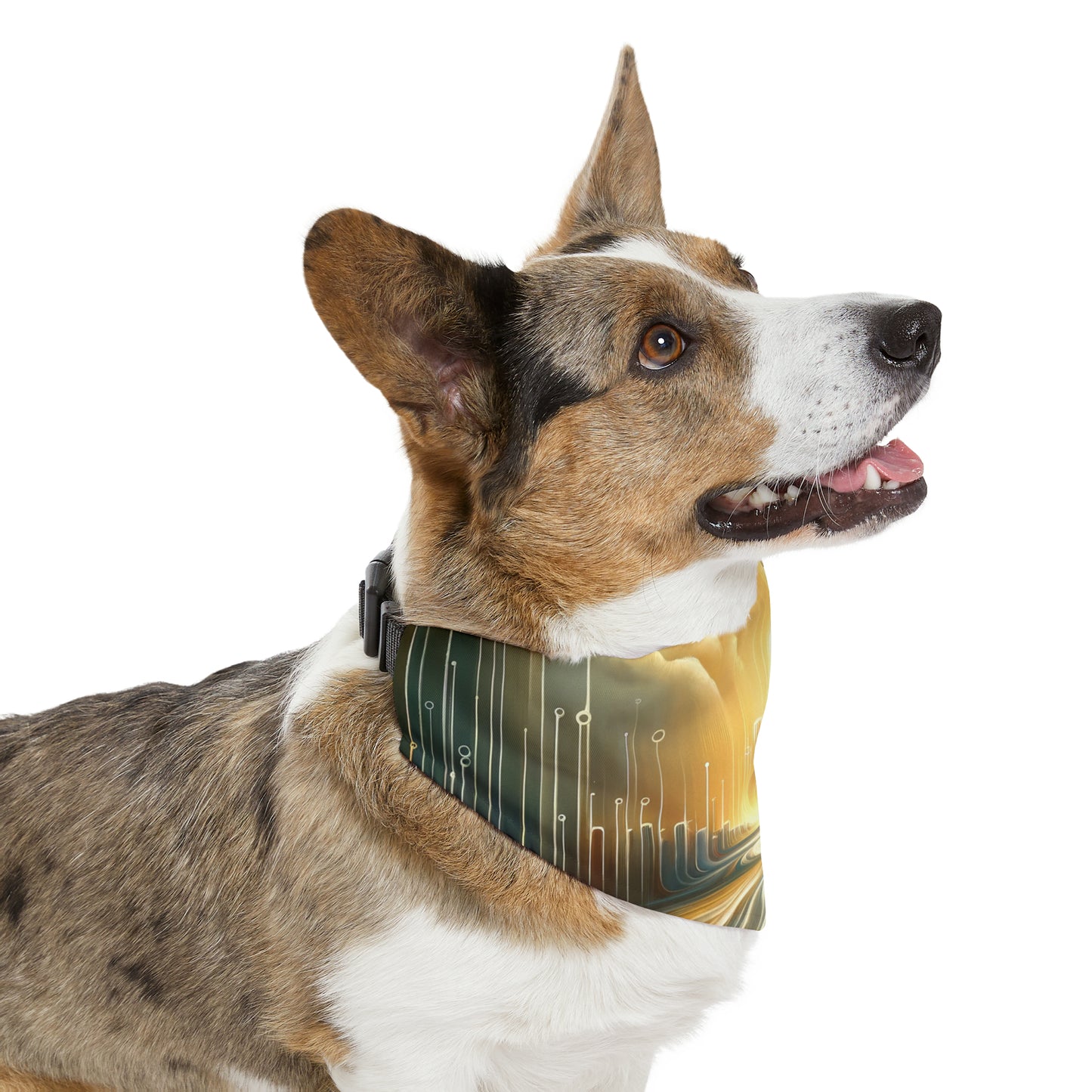 Frequency Shift Evocative Pet Bandana Collar