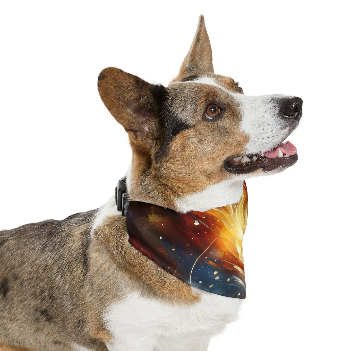 Igniting Transformational Currents Pet Bandana Collar