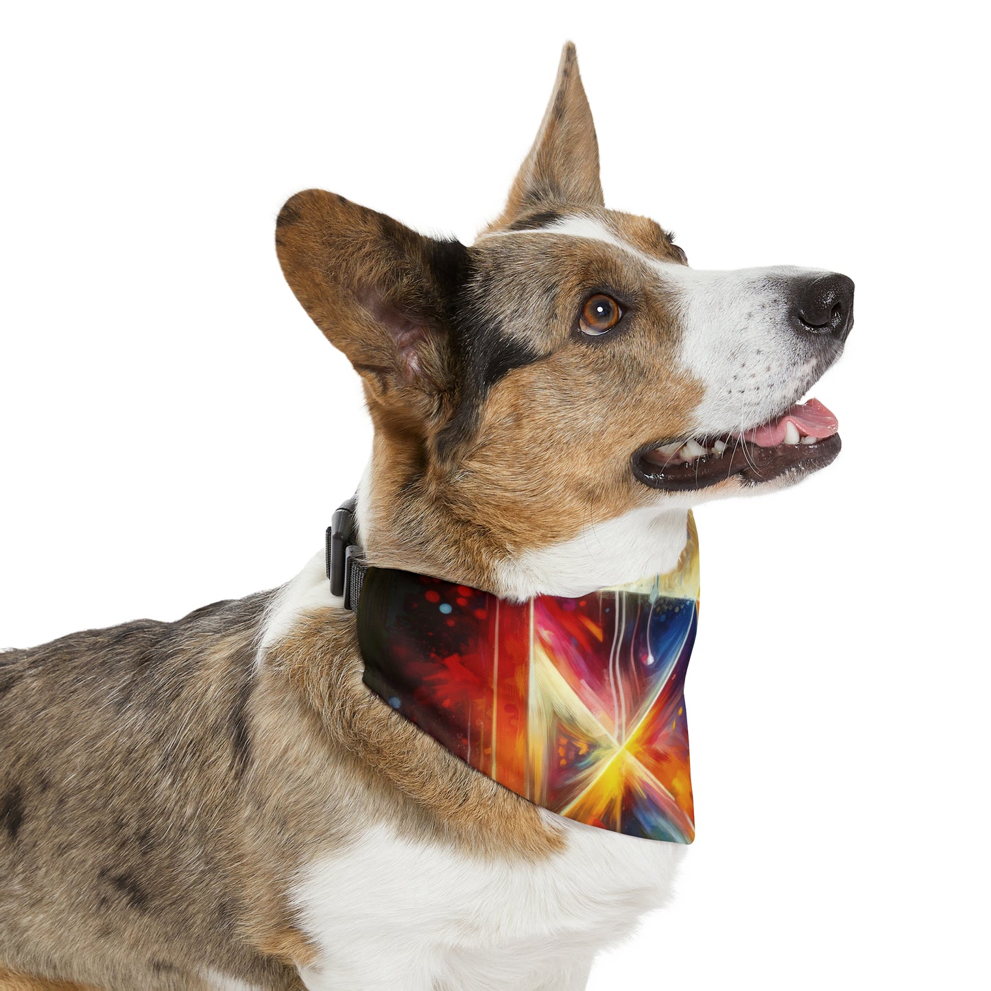 Prismatic Light Spectrum Pet Bandana Collar