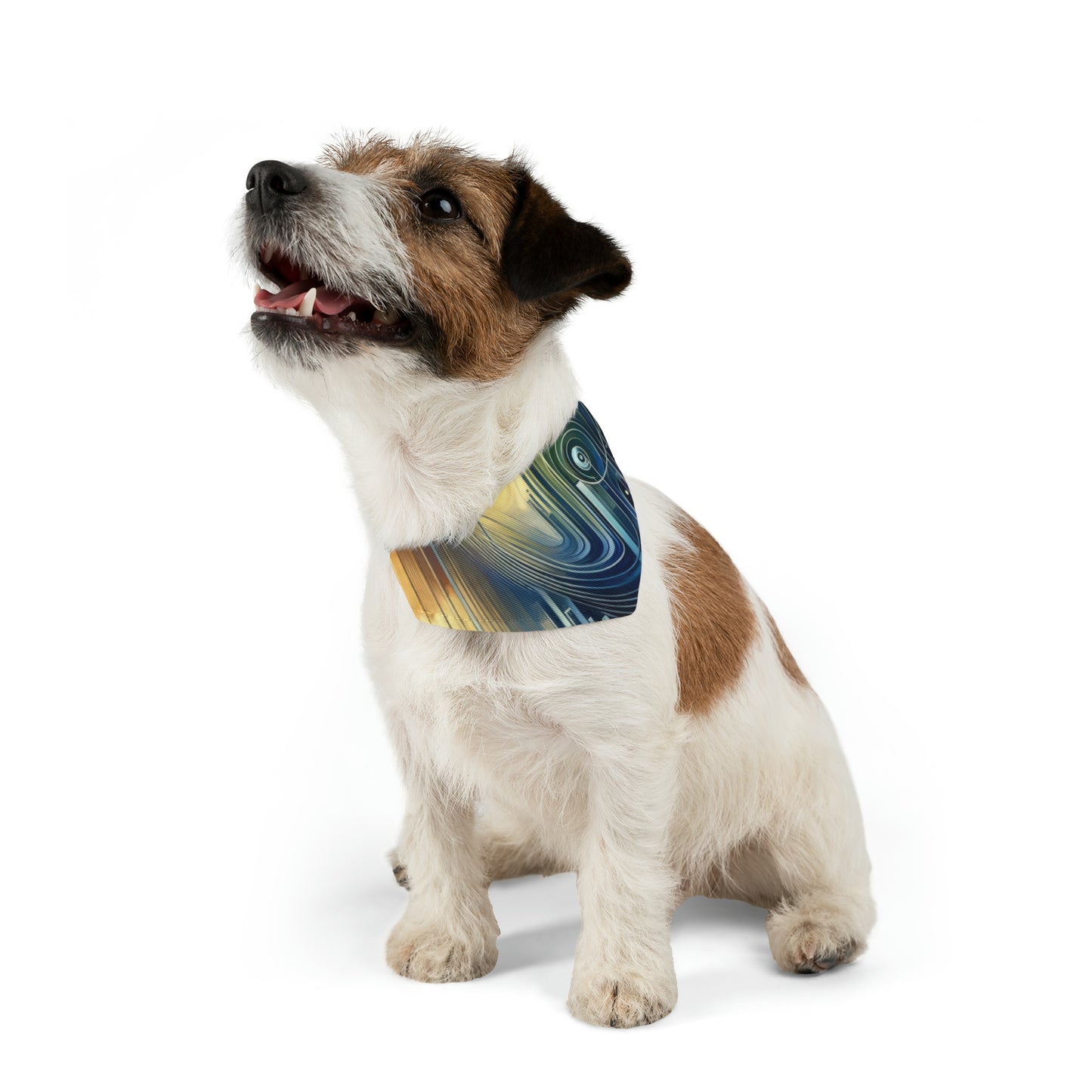 Effort Amplifies Outcome Pet Bandana Collar