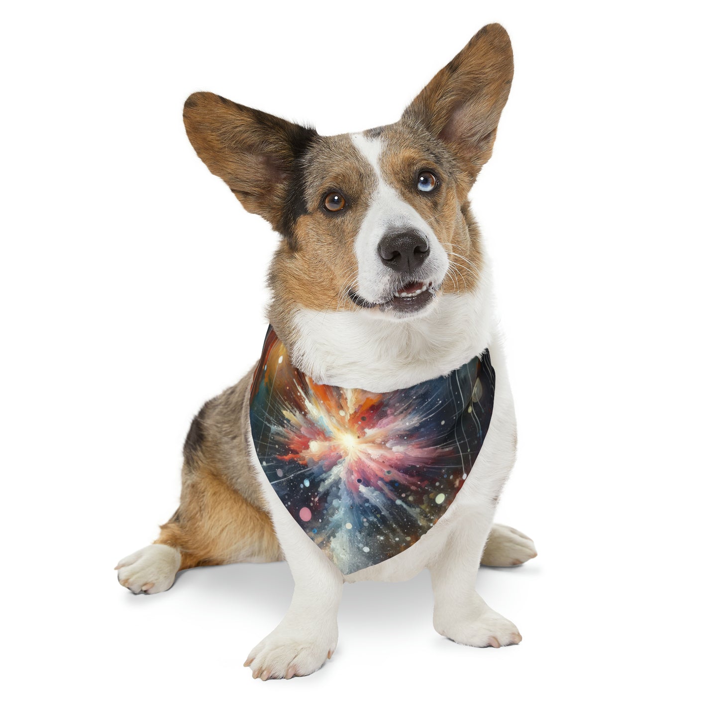 Galactic Mind Clarity Pet Bandana Collar