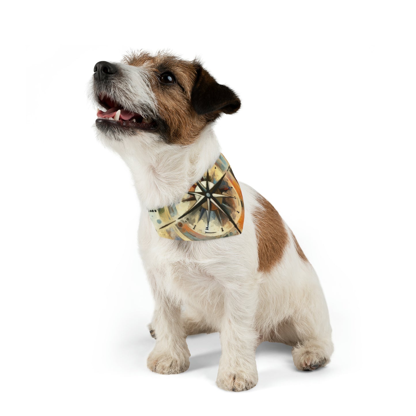 Guidance Abstract Compass Pet Bandana Collar