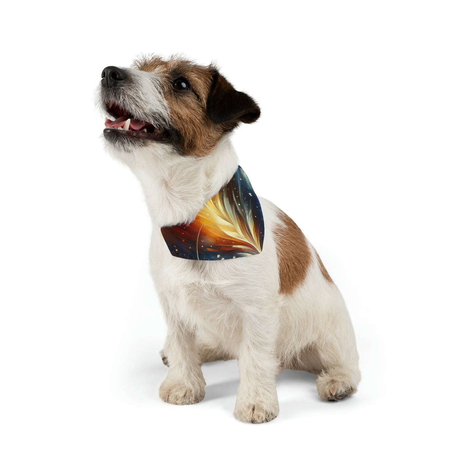 Igniting Transformational Currents Pet Bandana Collar