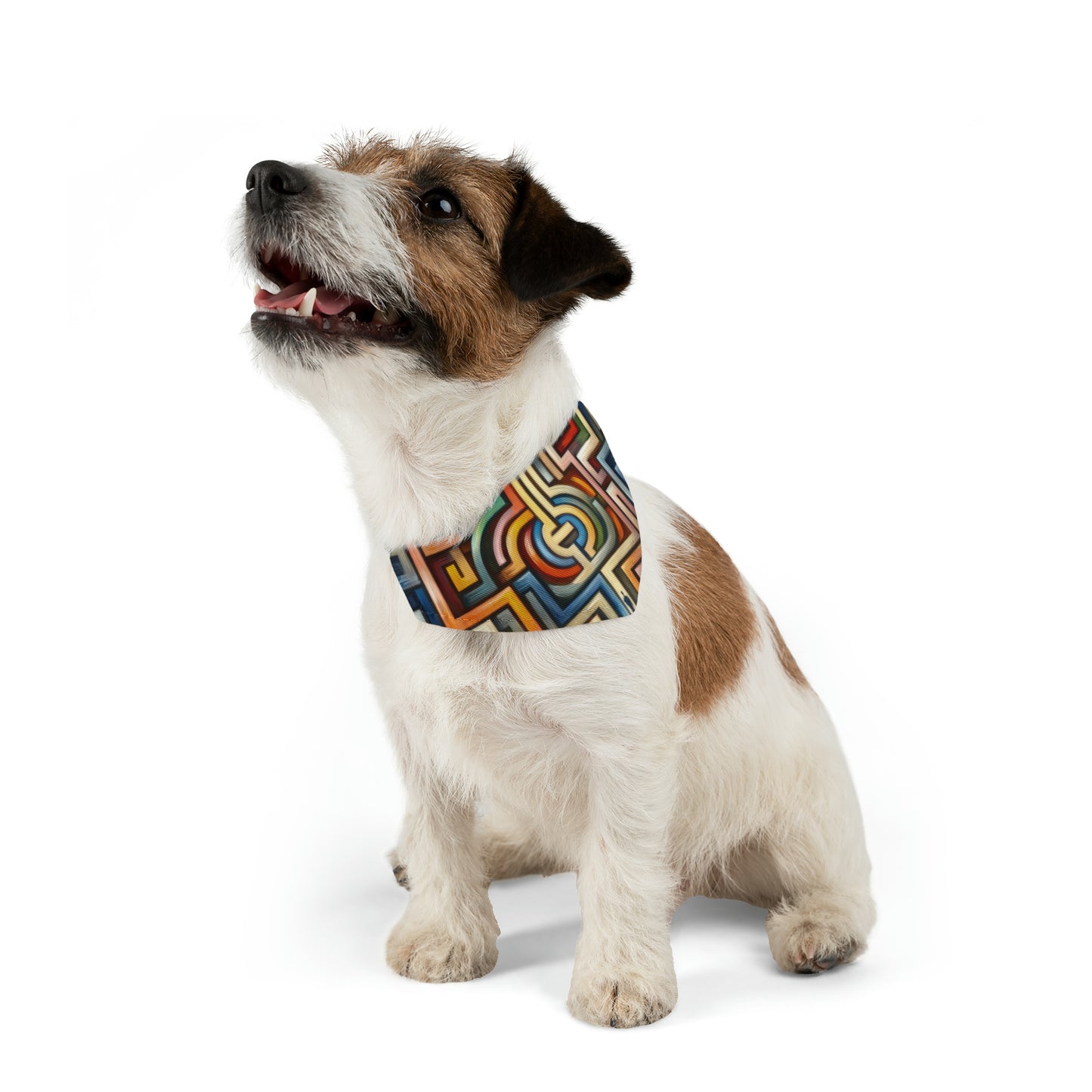 Labyrinthine Love Choices Pet Bandana Collar