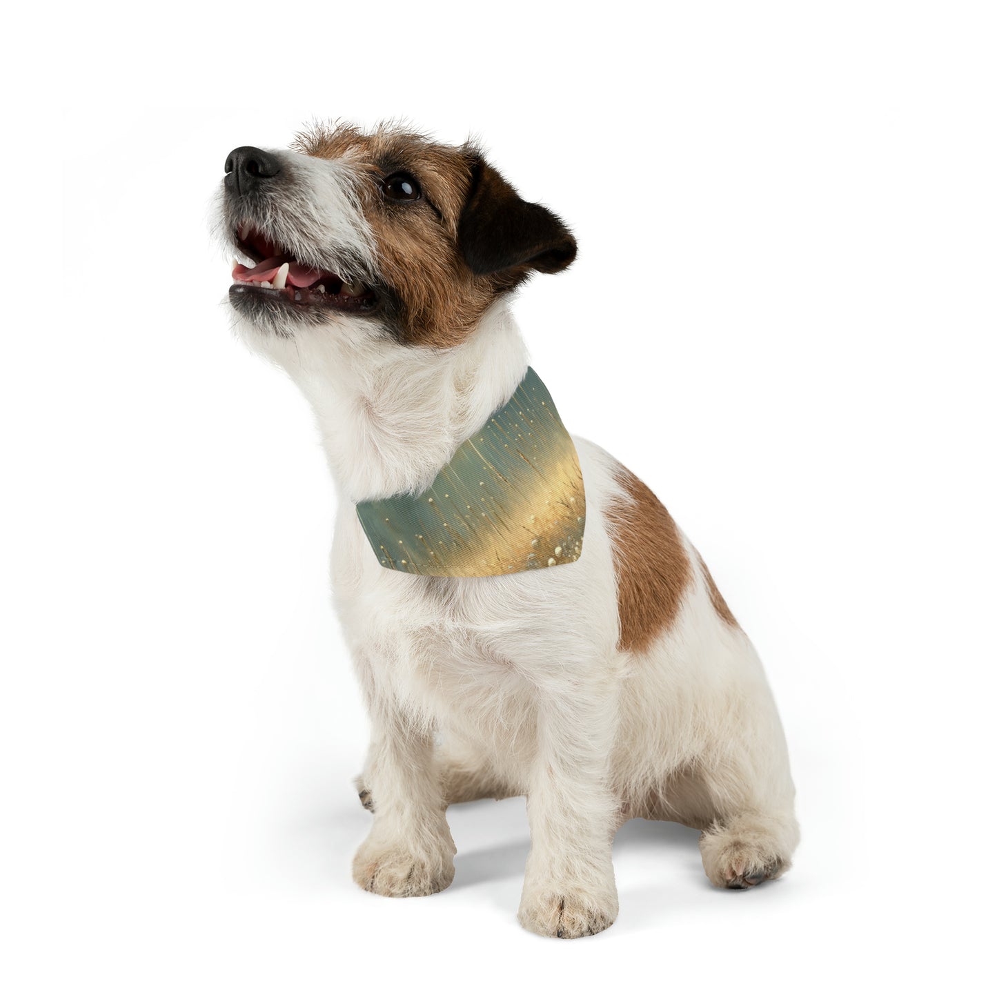 Observant Delicacy Heart Pet Bandana Collar