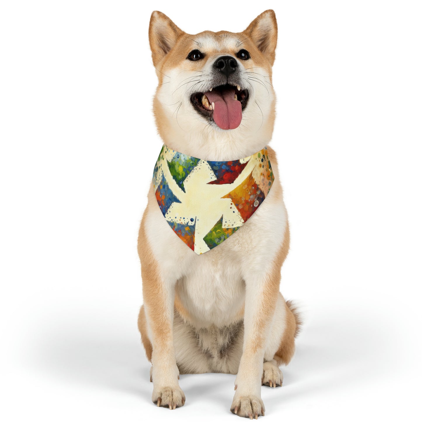 Sustainable Transformation Tachism Pet Bandana Collar