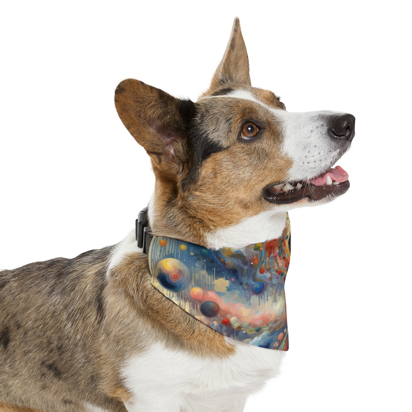 Choices Tachism Canvas Pet Bandana Collar