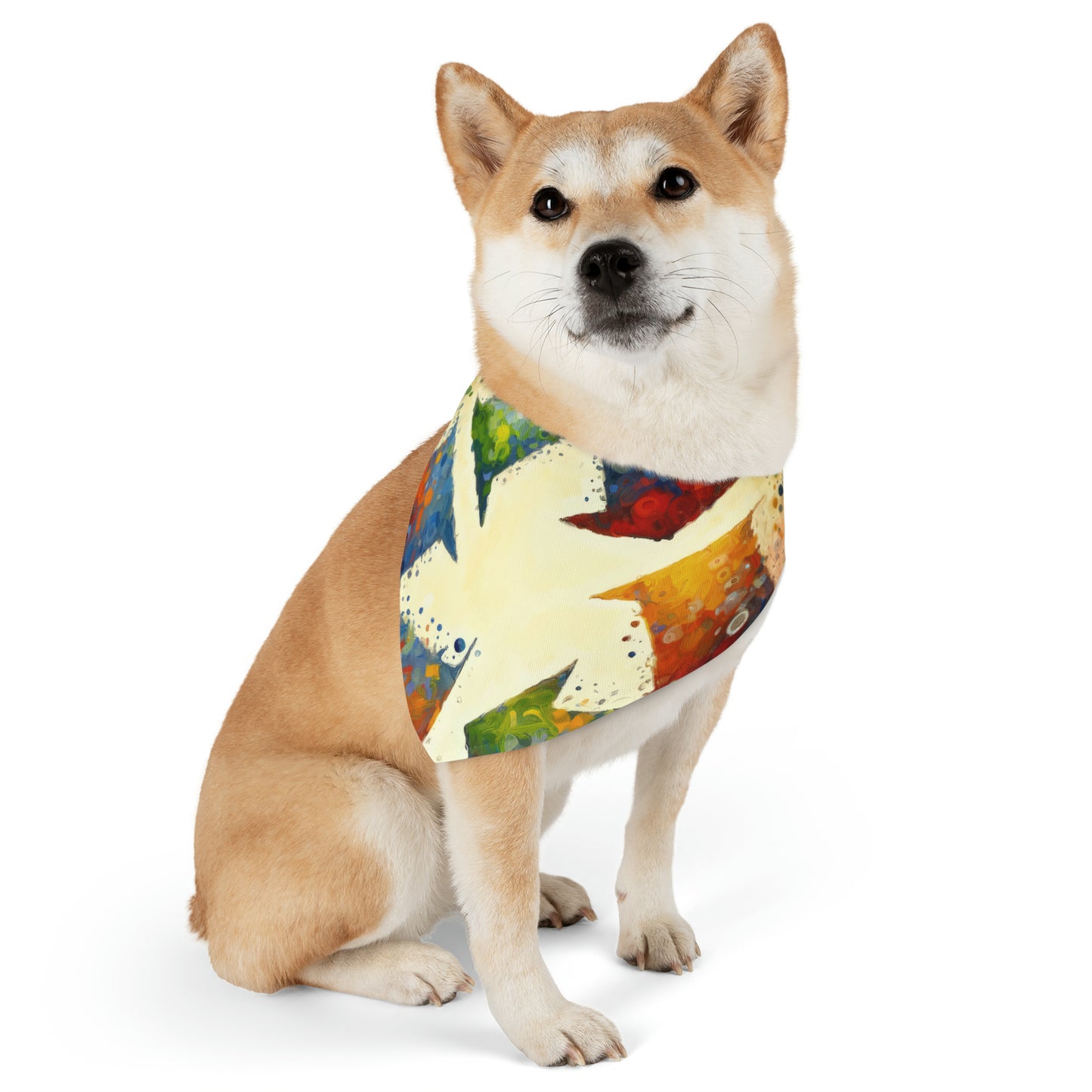 Sustainable Transformation Tachism Pet Bandana Collar