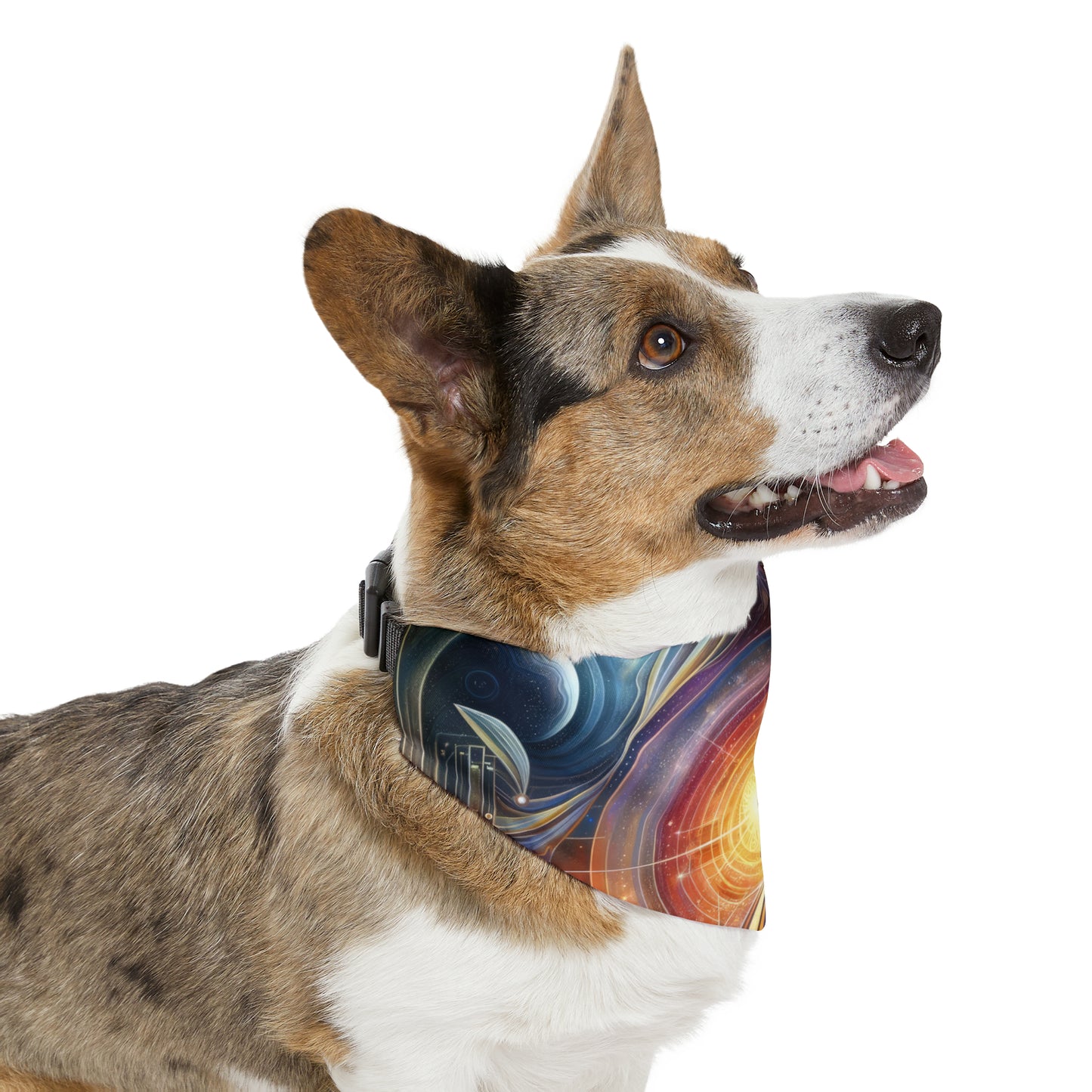 Unified Cosmic Alignment Pet Bandana Collar