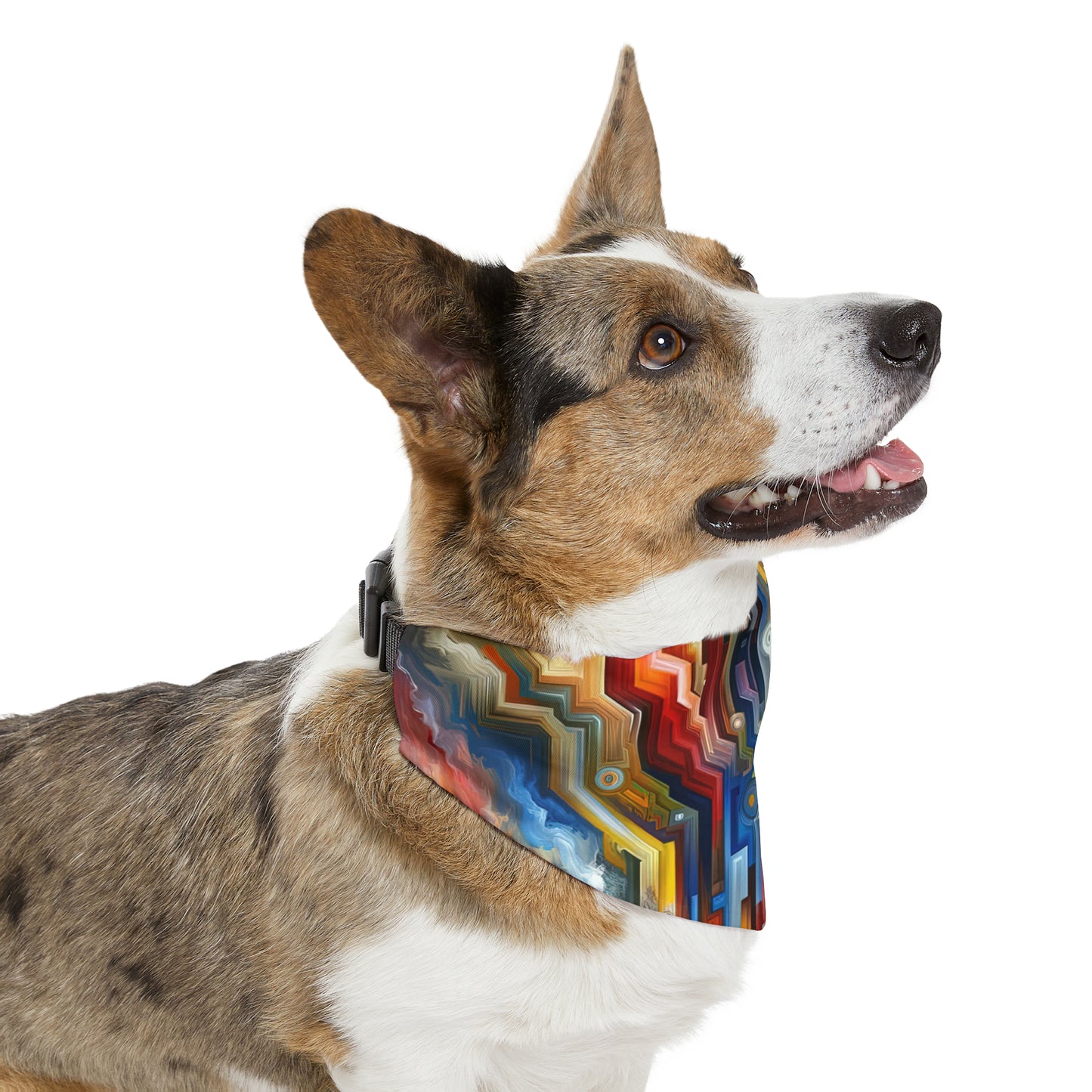 Unity Abstract Vibrancy Pet Bandana Collar