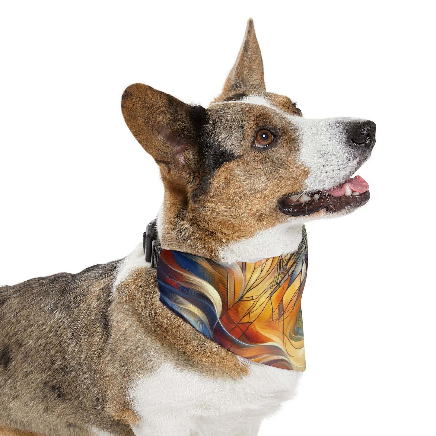 Weaving Renewal Web Pet Bandana Collar