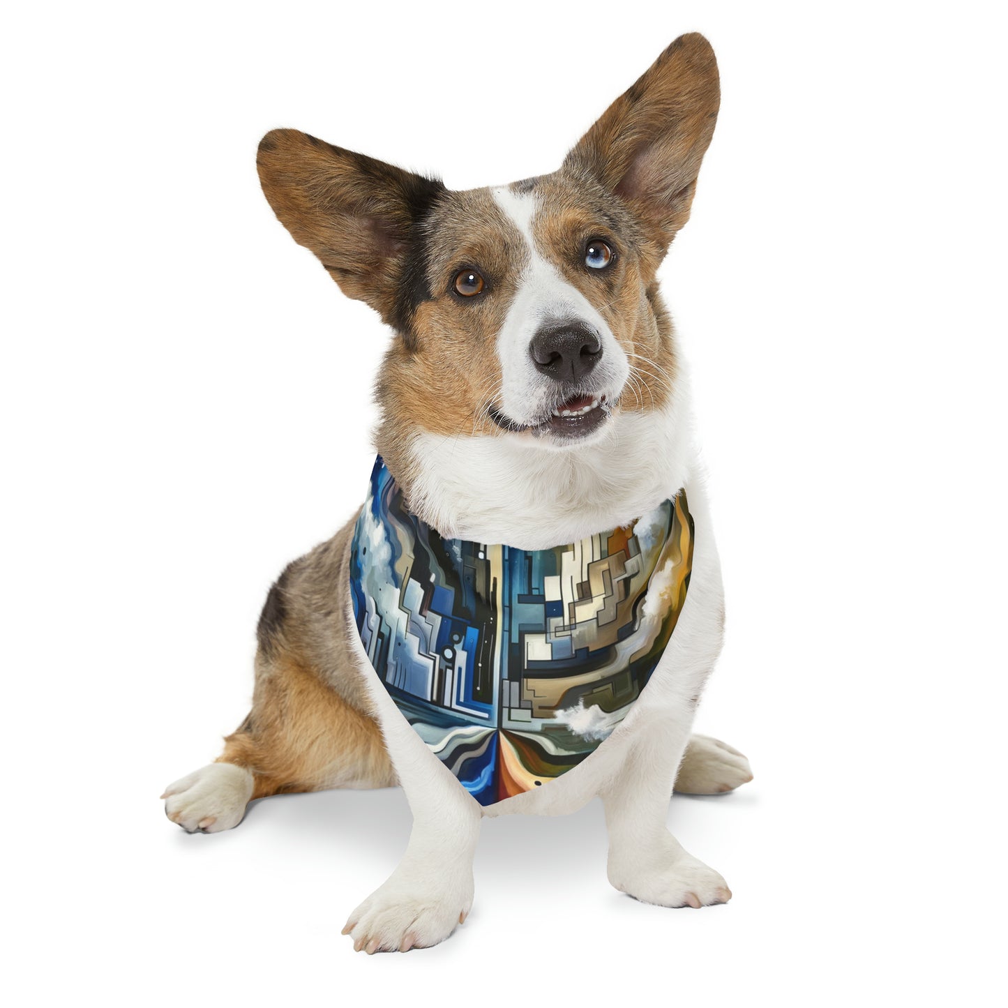 Digital Divide Navigation Pet Bandana Collar