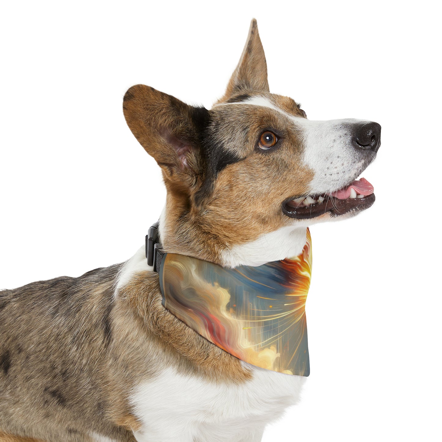 Ignite Spark Transformation Pet Bandana Collar