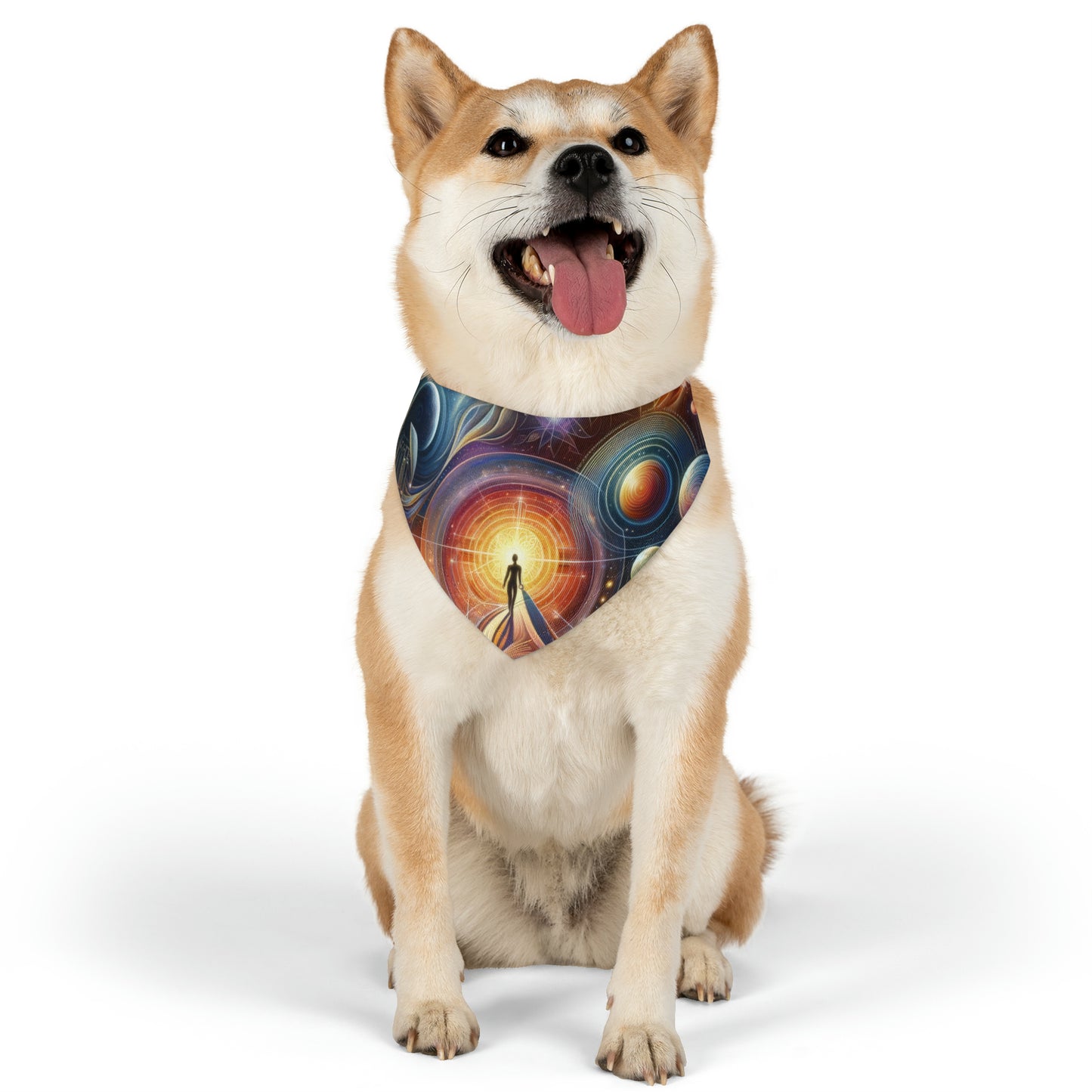 Unified Cosmic Alignment Pet Bandana Collar