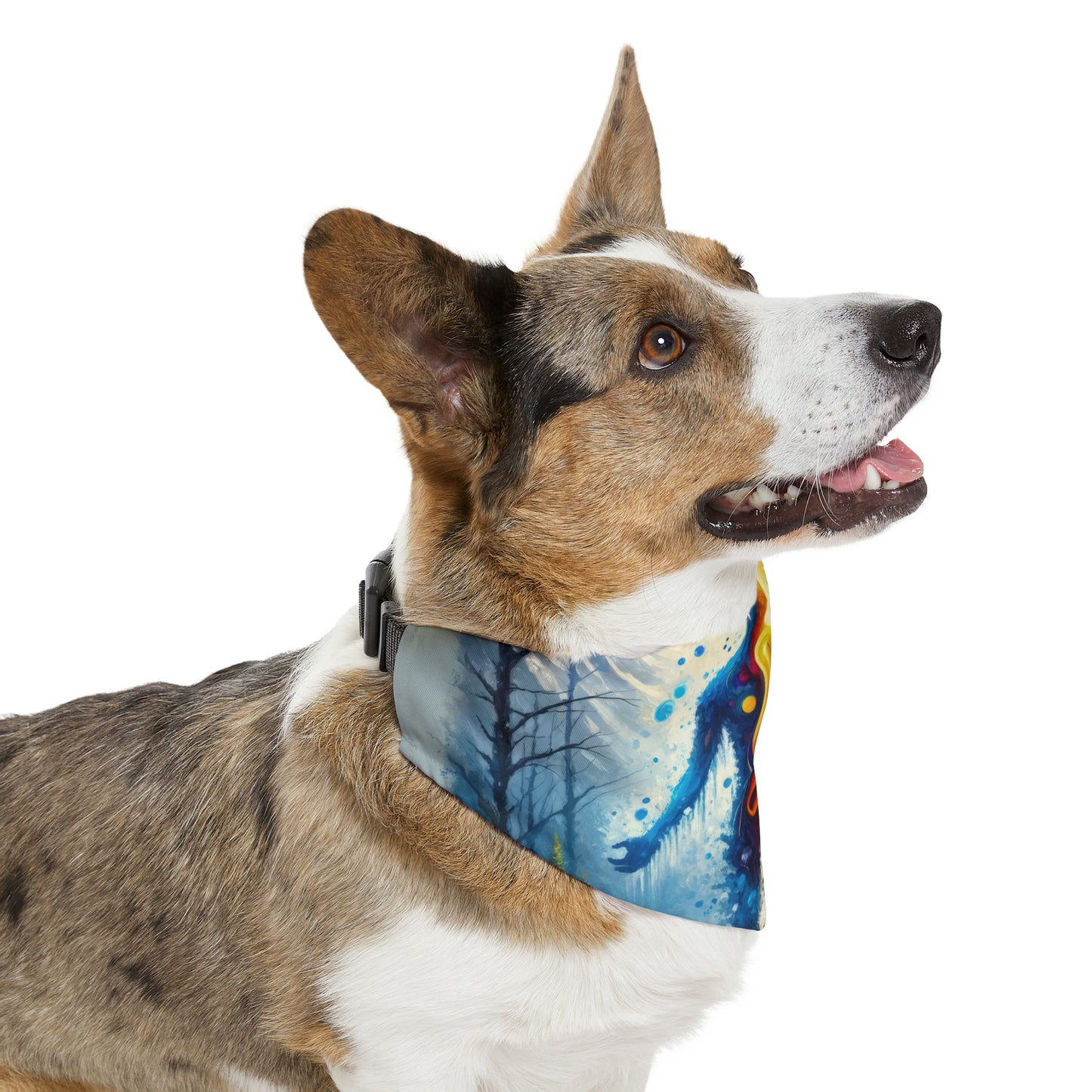 Invincible Summer Discovery Pet Bandana Collar