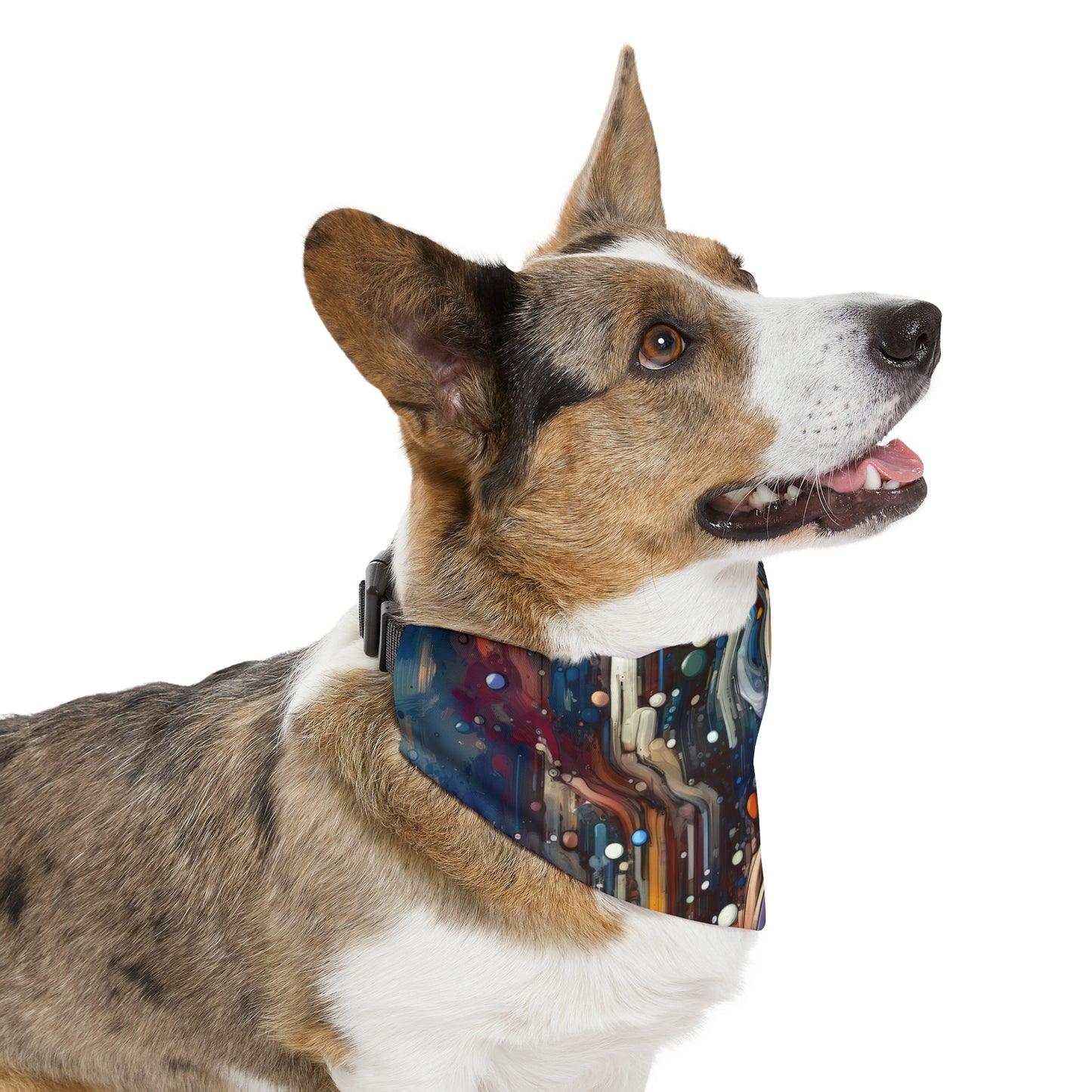 Coherent Change Visualization Pet Bandana Collar