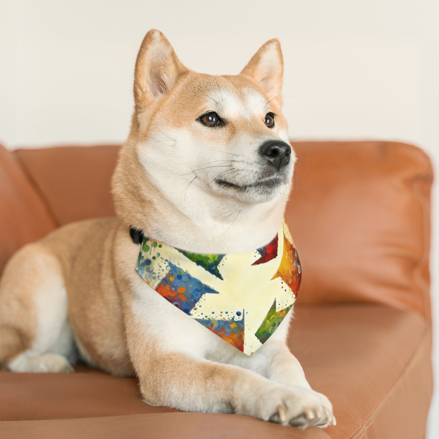 Sustainable Transformation Tachism Pet Bandana Collar