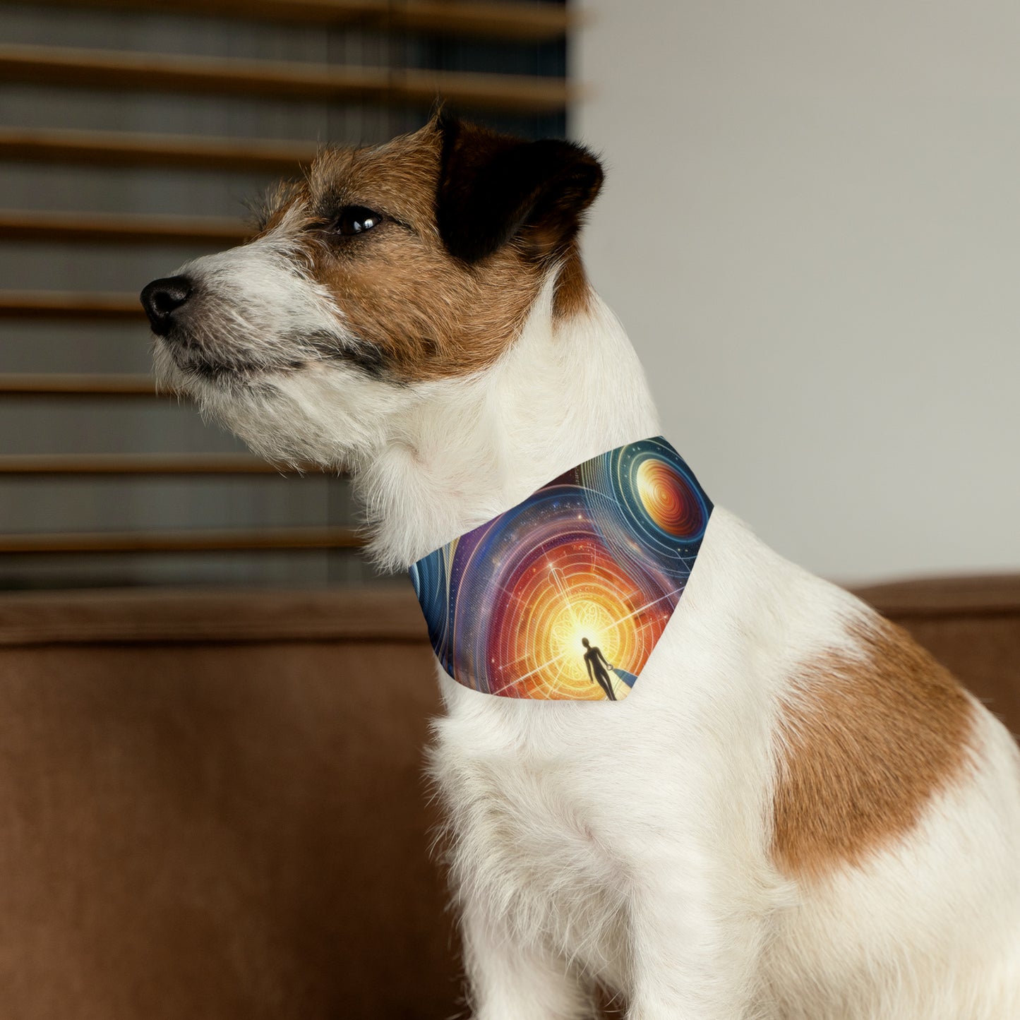 Unified Cosmic Alignment Pet Bandana Collar
