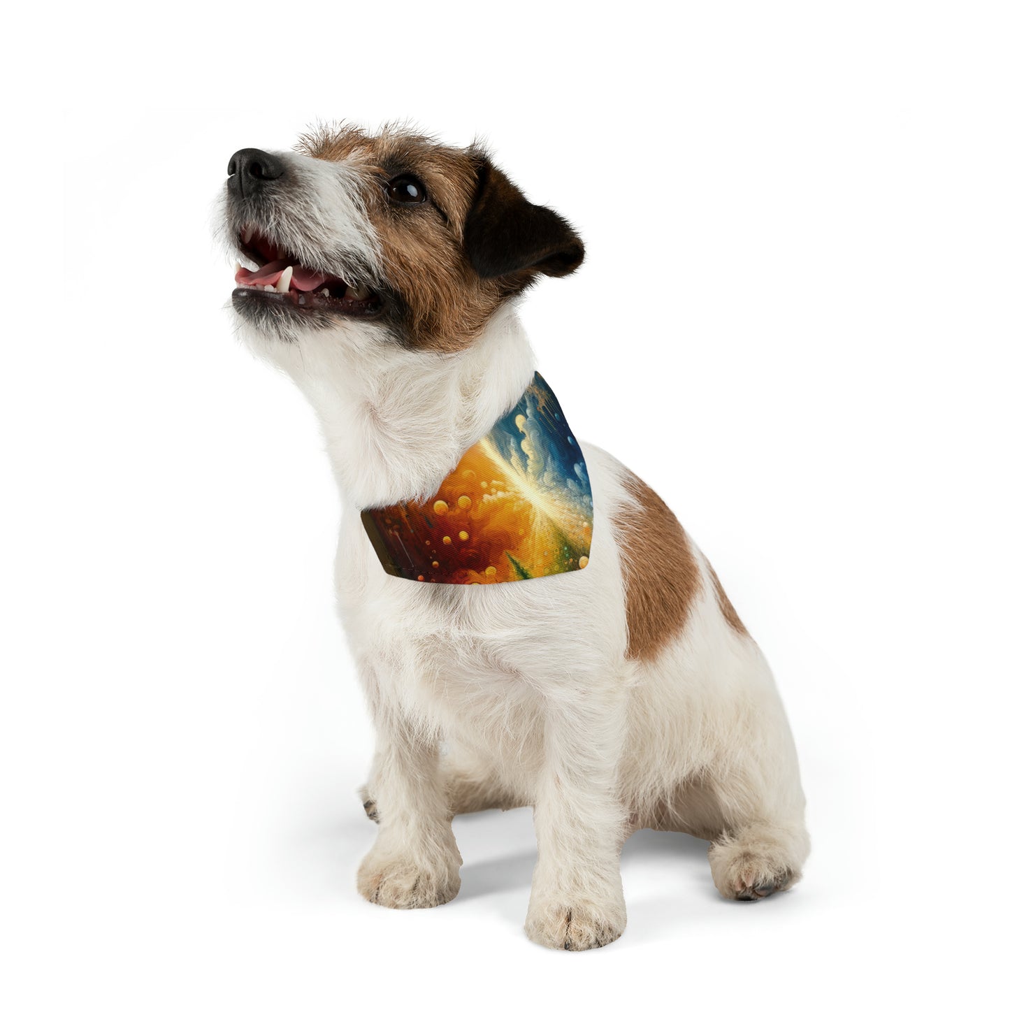 Disconnecting Harmonious Reconnection Pet Bandana Collar