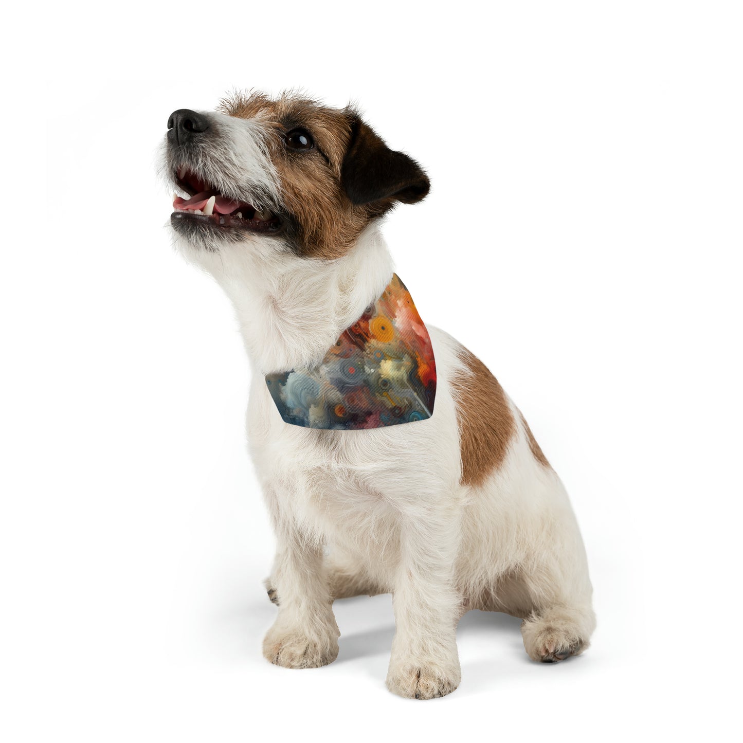Abstract Beliefs Reflection Pet Bandana Collar