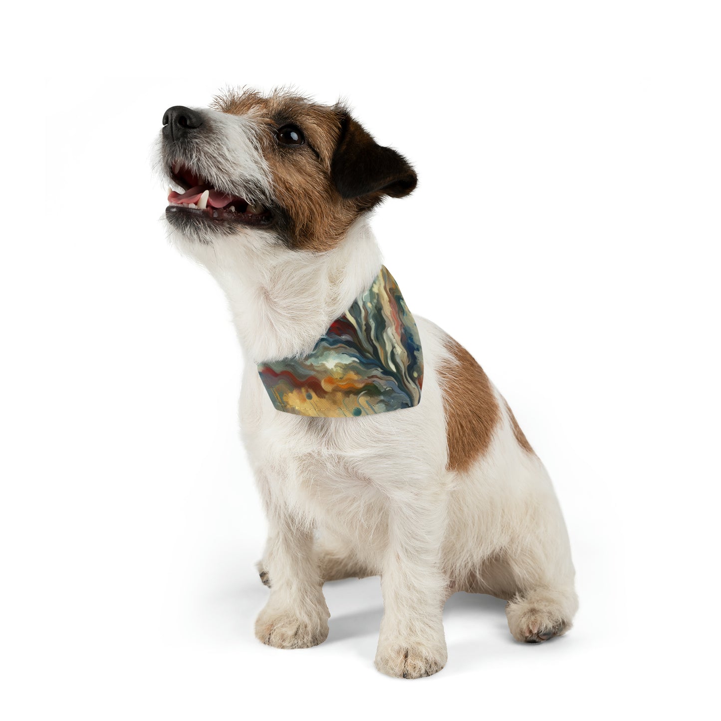 Abstract Forgiveness Offering Pet Bandana Collar