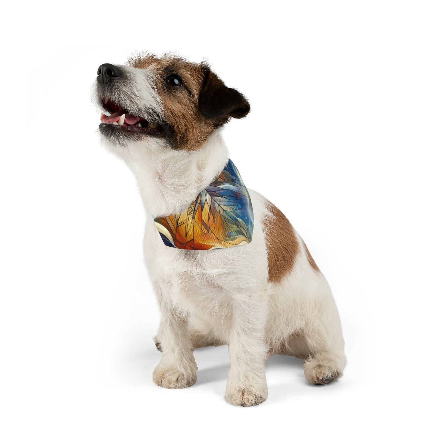 Weaving Renewal Web Pet Bandana Collar
