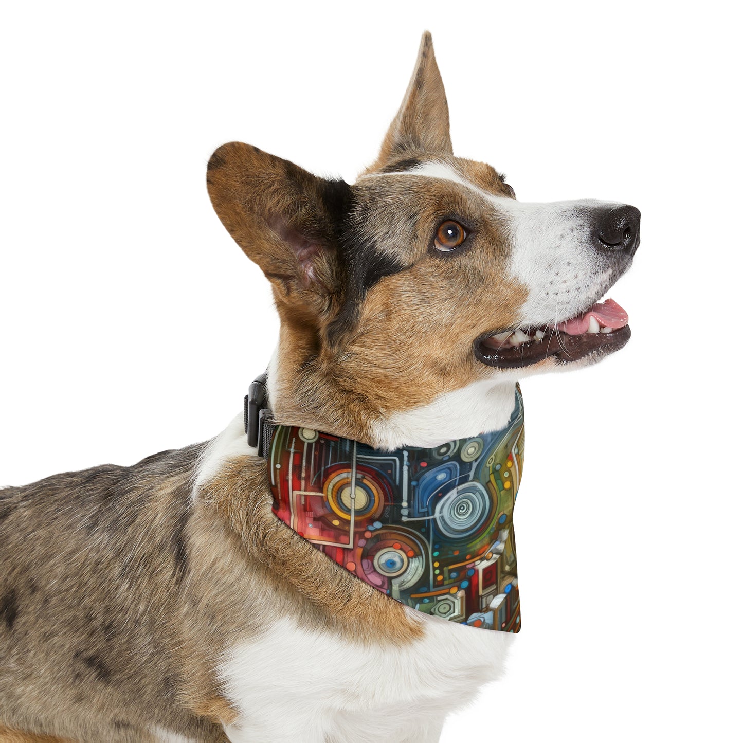 Beliefs Systems Intersection Pet Bandana Collar