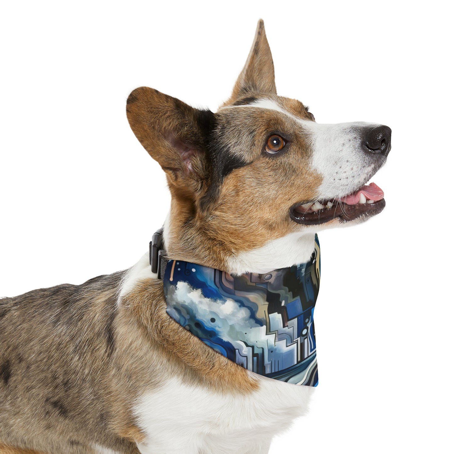 Digital Divide Navigation Pet Bandana Collar