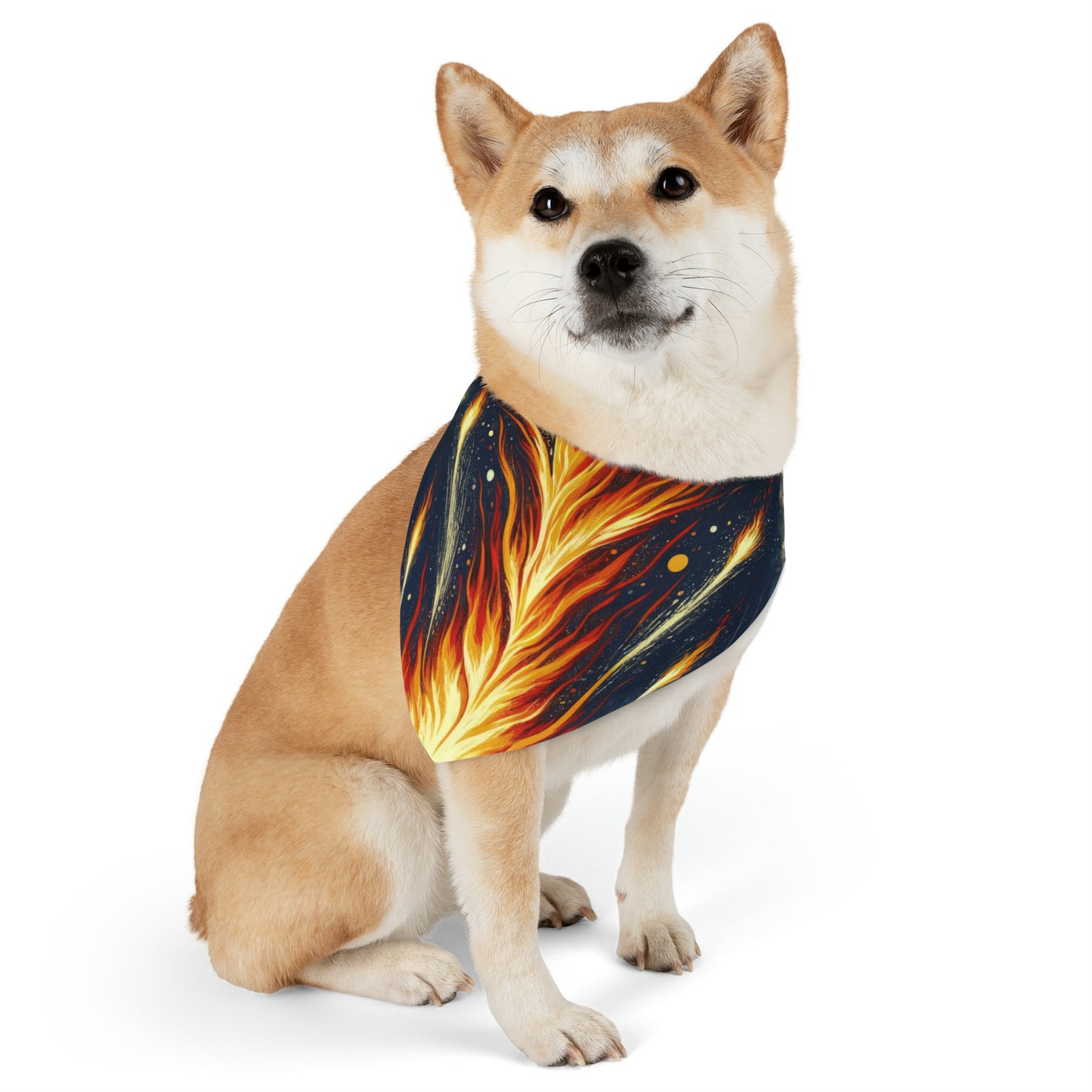 Ignition Change Catalyst Pet Bandana Collar