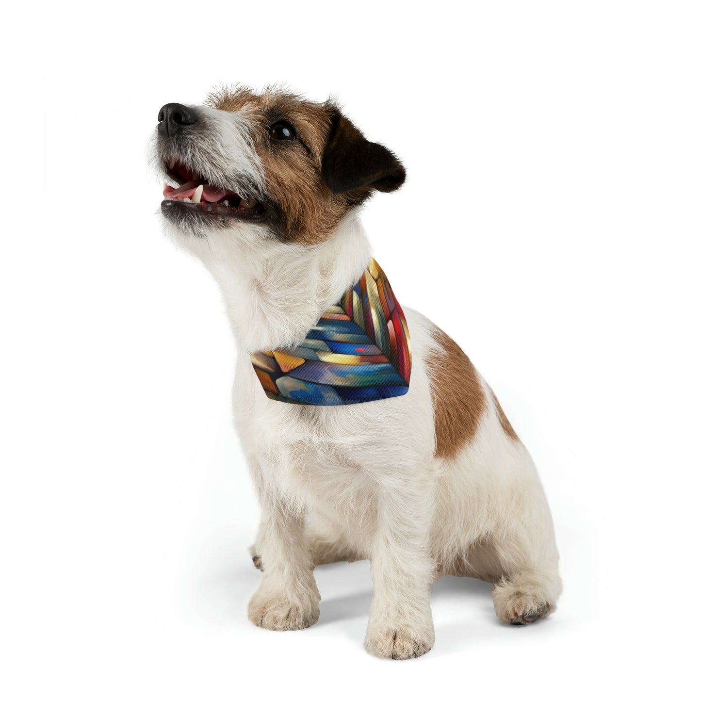 Anchored Tenets Abstraction Pet Bandana Collar