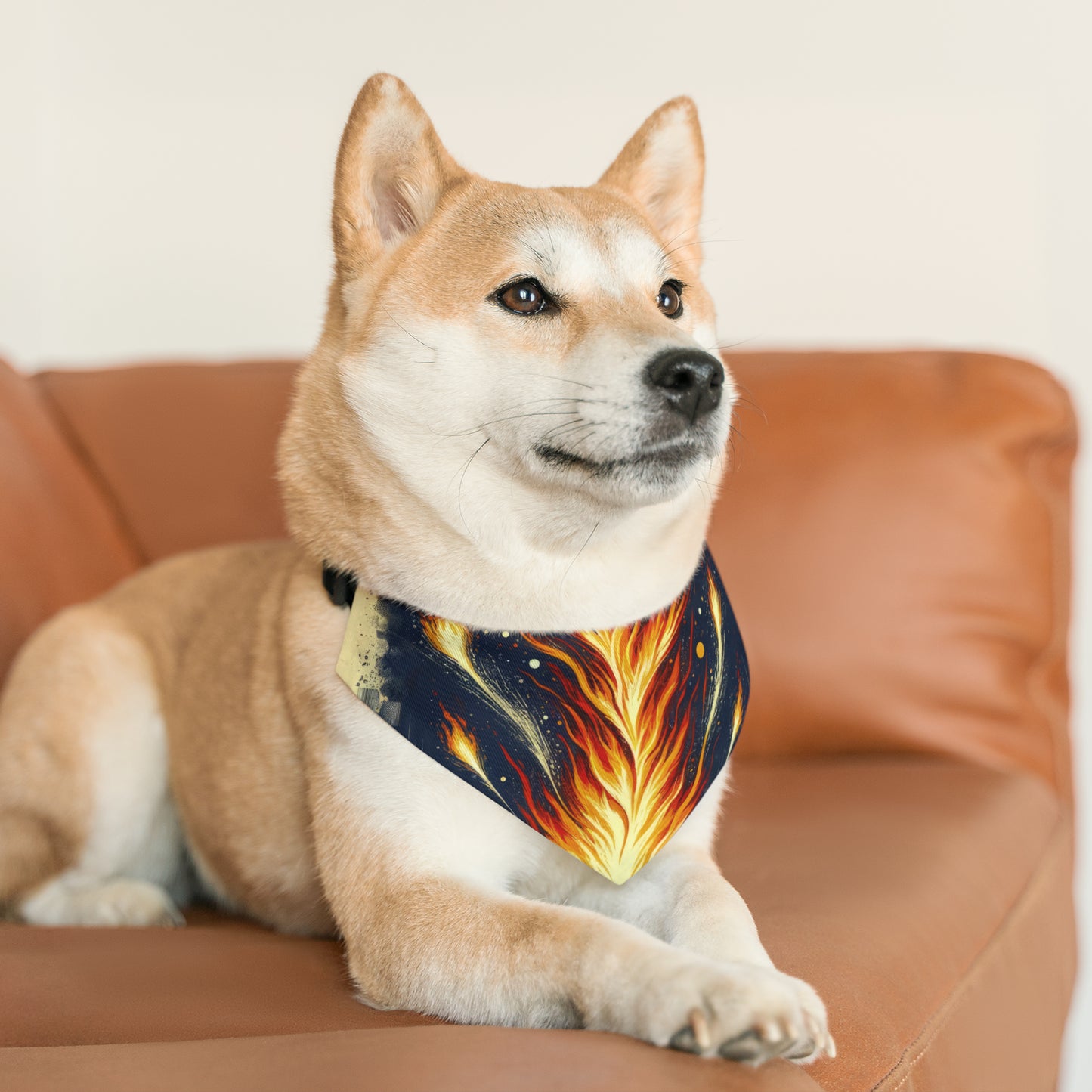 Ignition Change Catalyst Pet Bandana Collar