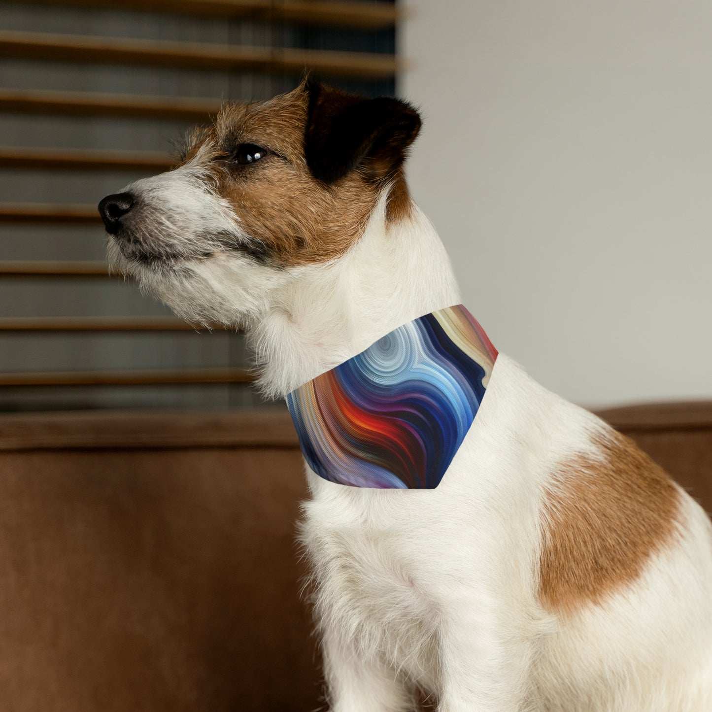 Harmonious Mindset Abstract Pet Bandana Collar