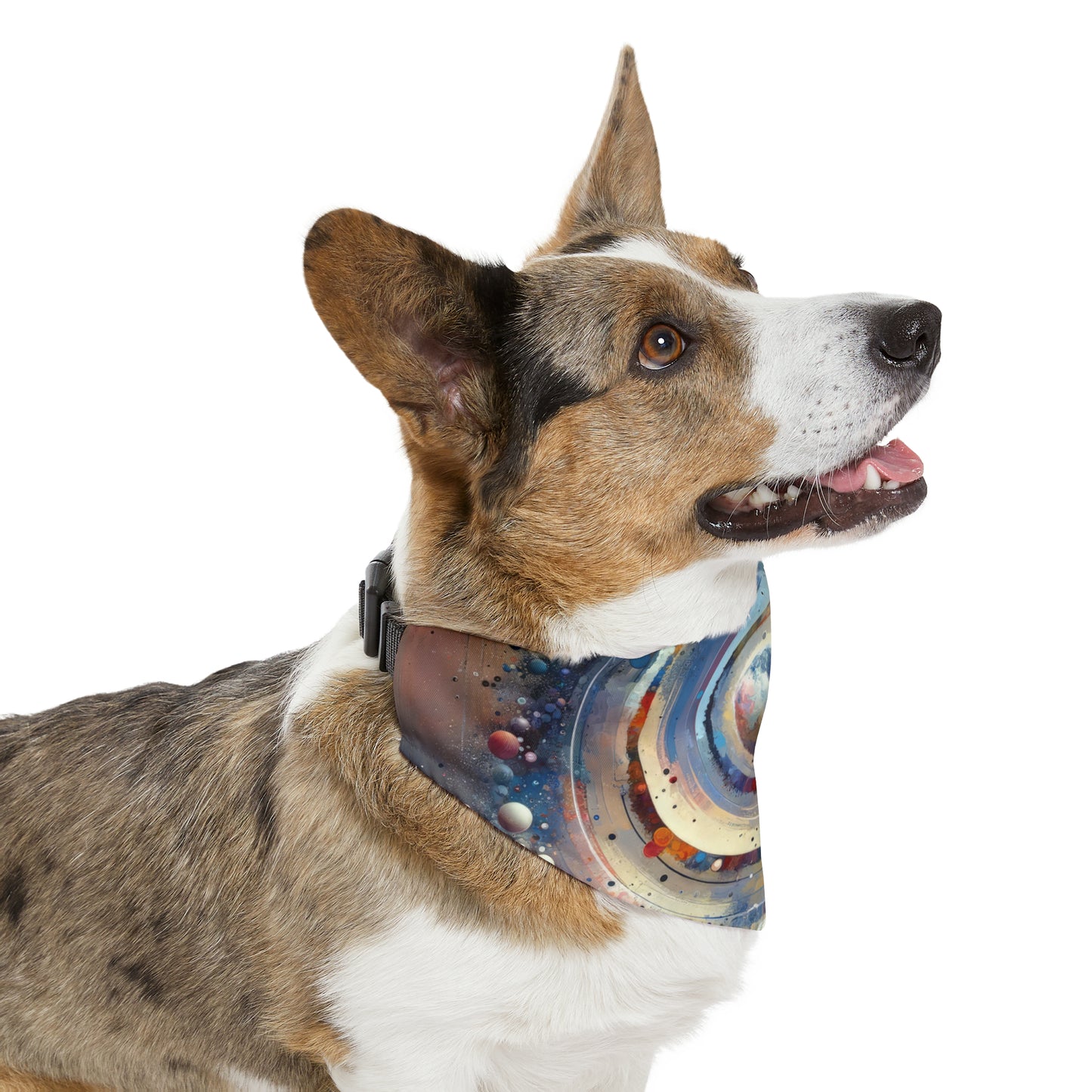 Conscious Rings Tachism Pet Bandana Collar