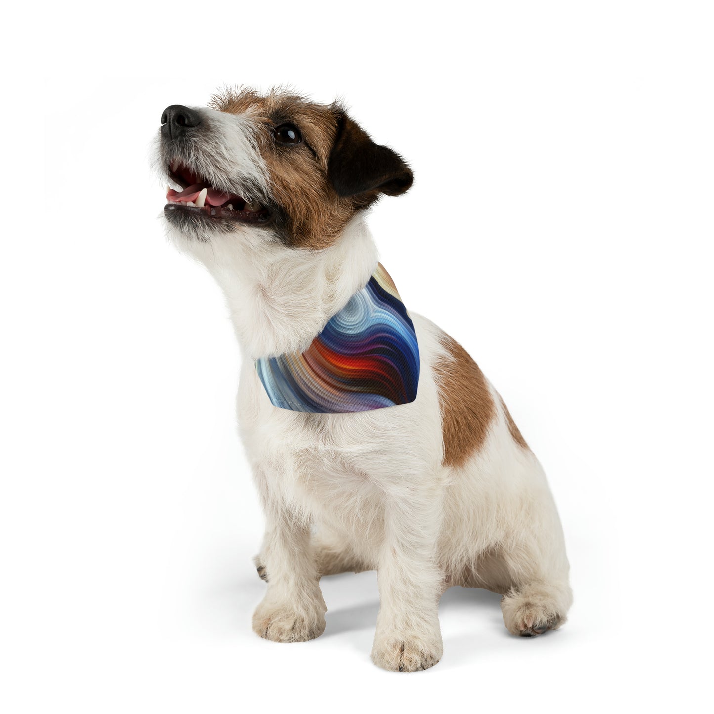 Harmonious Mindset Abstract Pet Bandana Collar