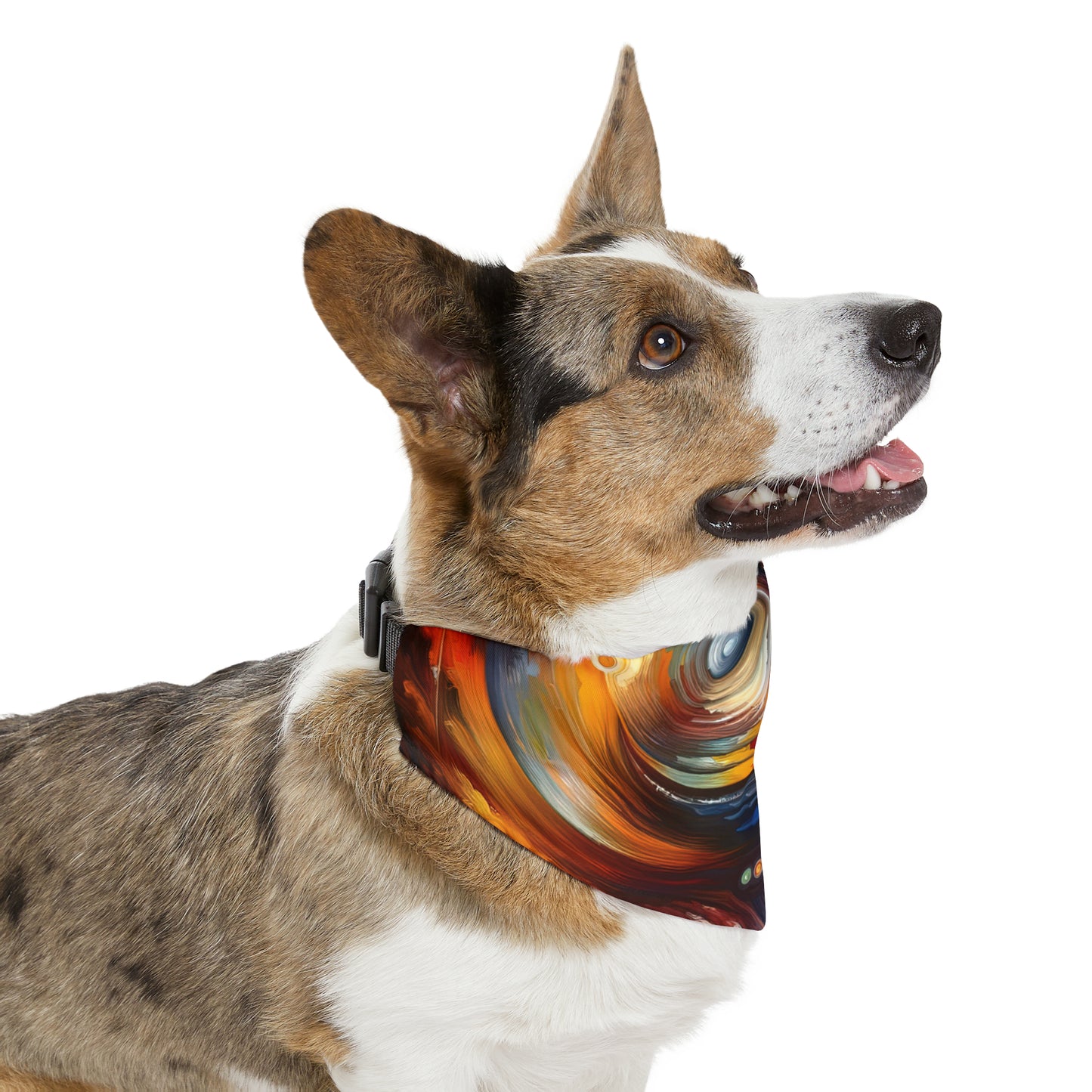 Vulnerability Emotional Exchange Pet Bandana Collar