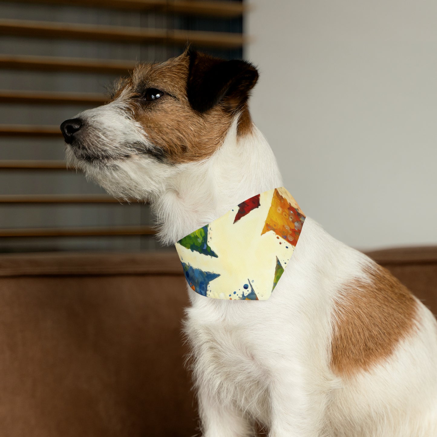Sustainable Transformation Tachism Pet Bandana Collar