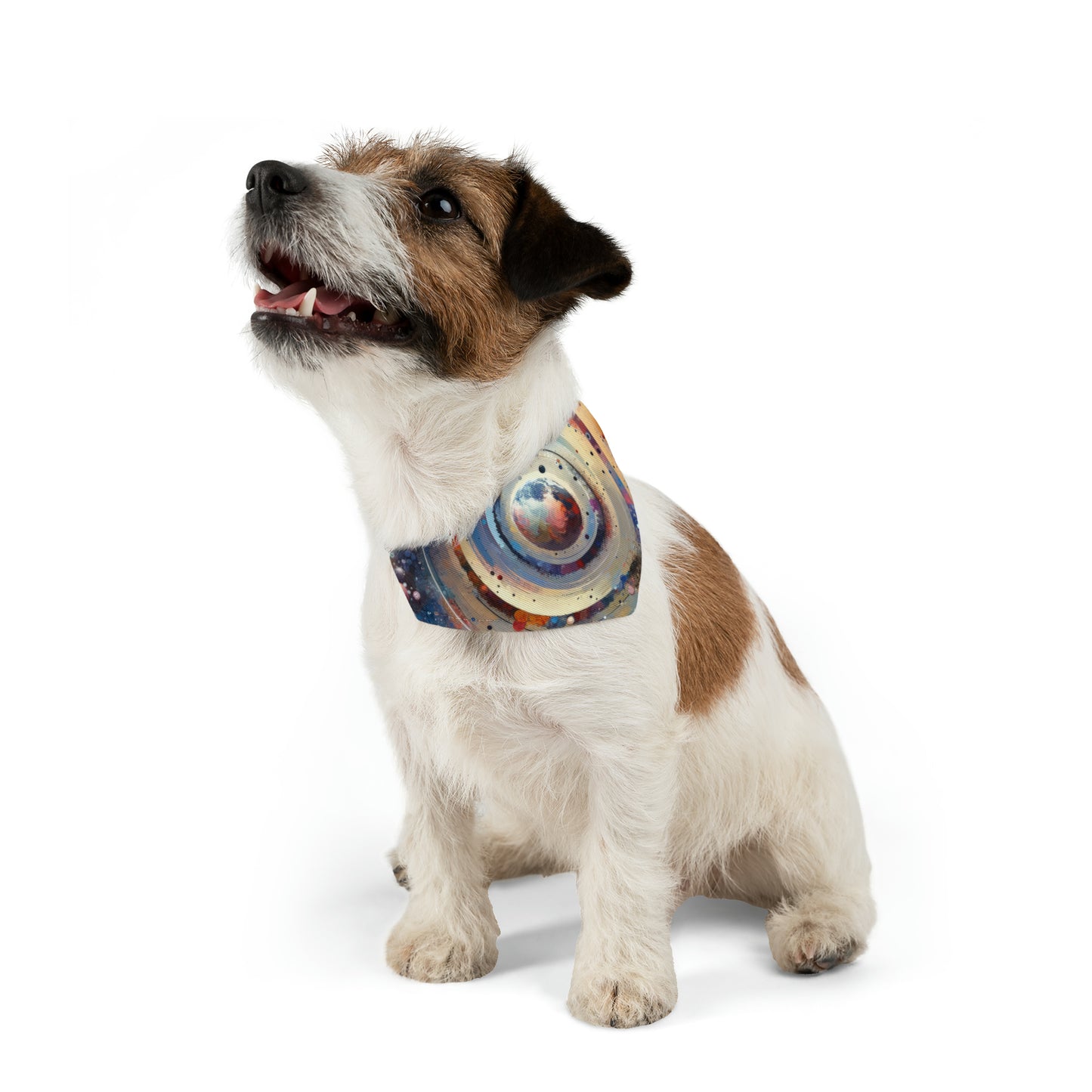 Conscious Rings Tachism Pet Bandana Collar