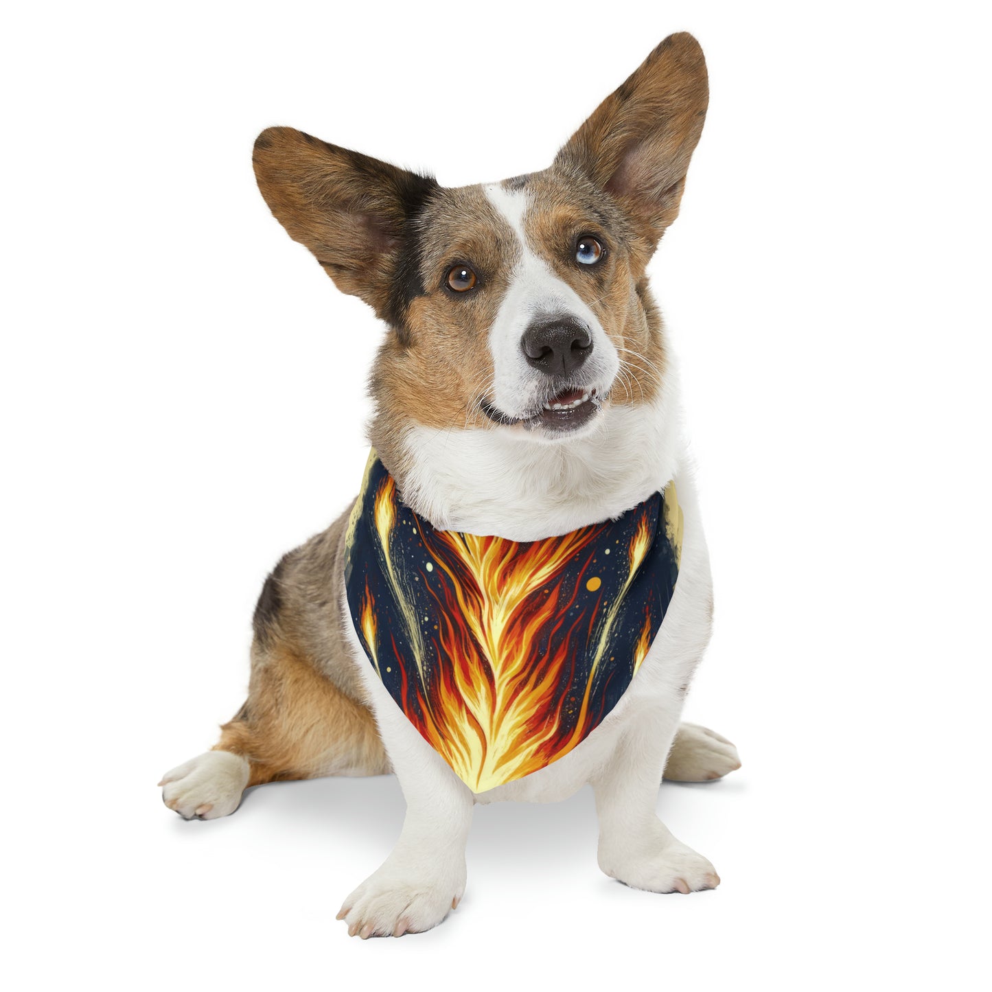 Ignition Change Catalyst Pet Bandana Collar
