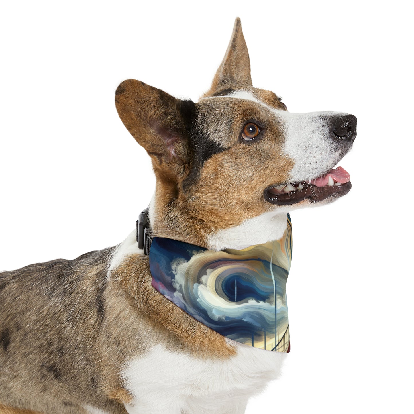 Conscious Bridge Tachism Pet Bandana Collar