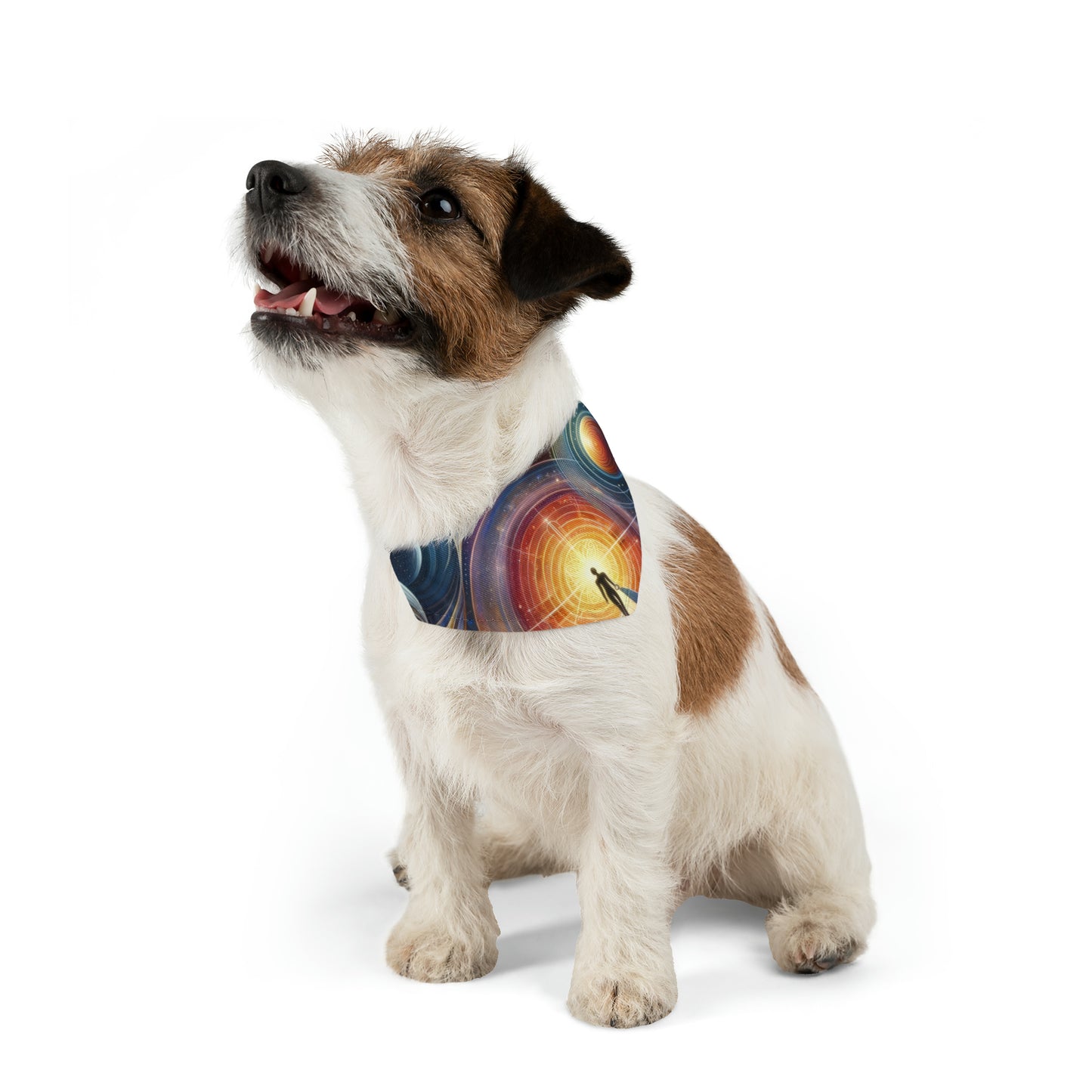 Unified Cosmic Alignment Pet Bandana Collar
