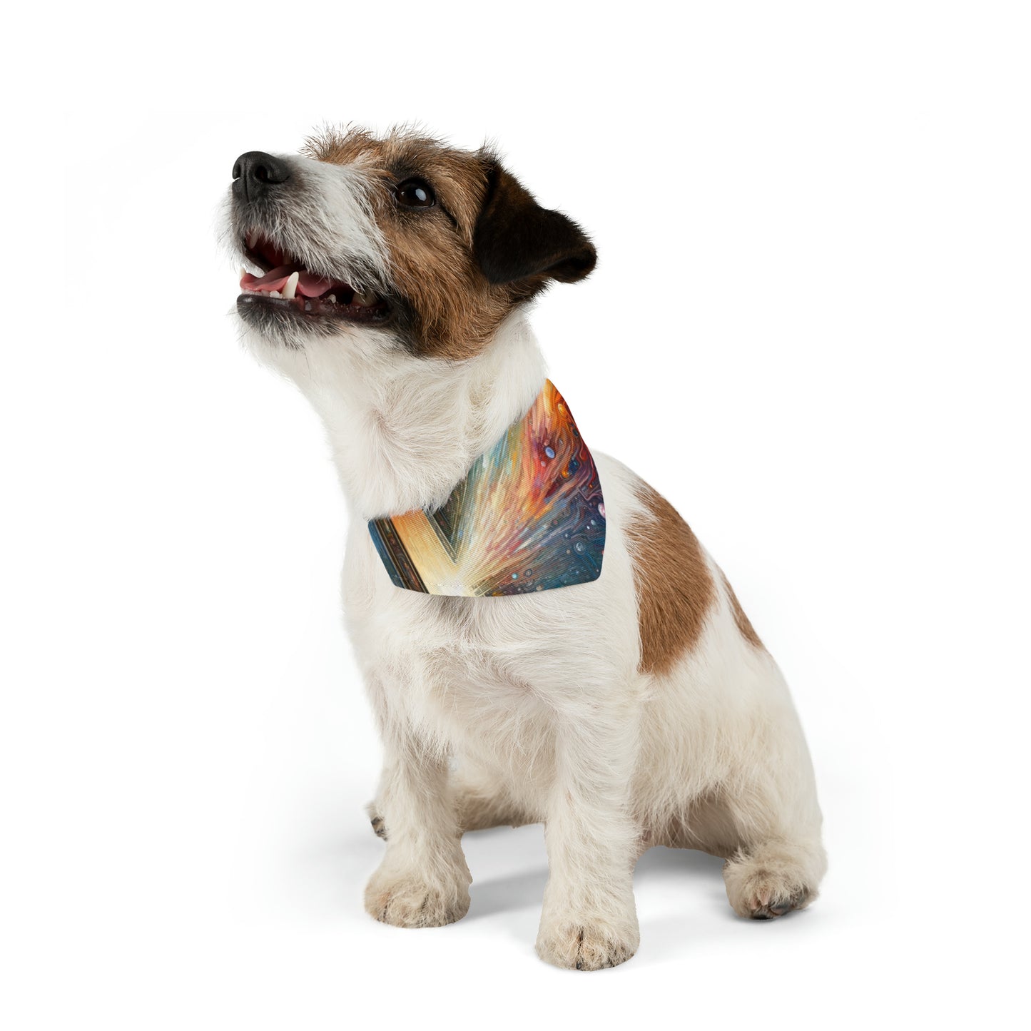 Mirror Wholeness Tachism Pet Bandana Collar