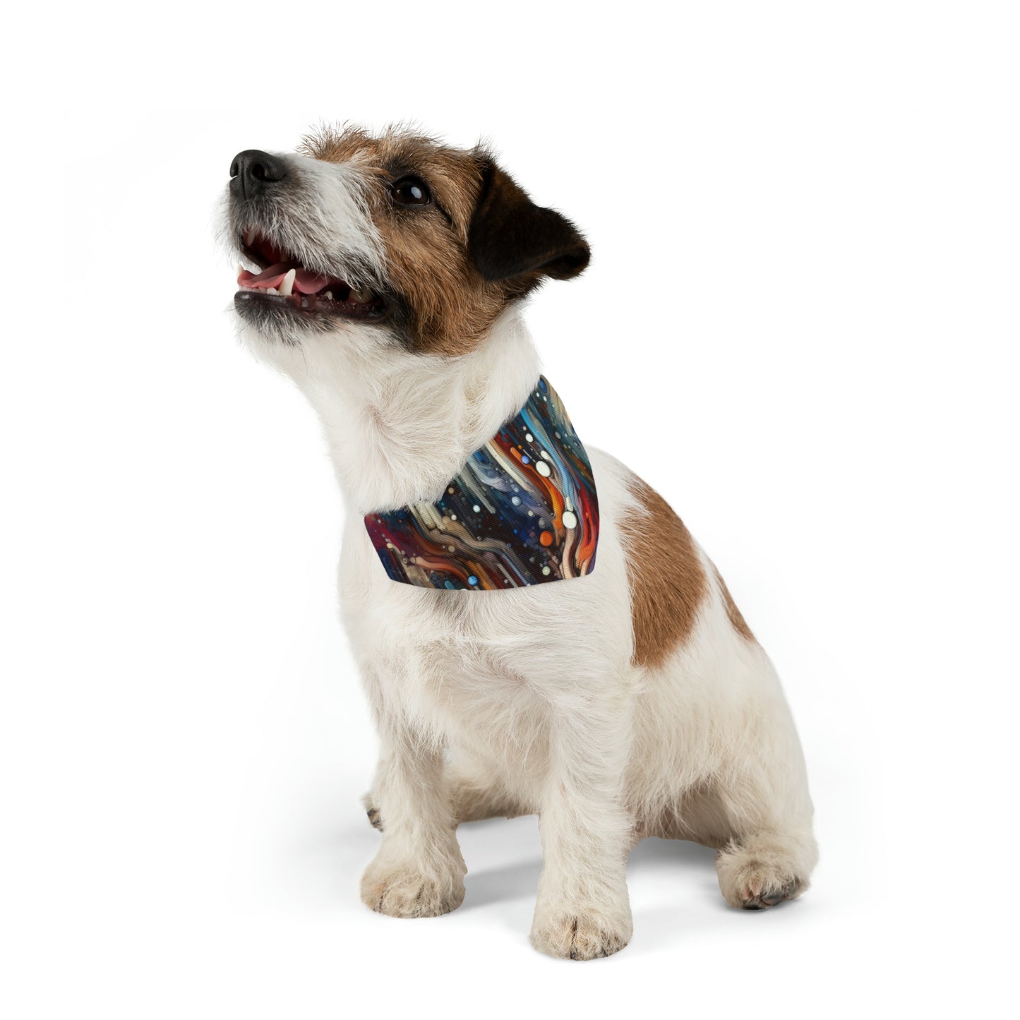 Coherent Change Visualization Pet Bandana Collar