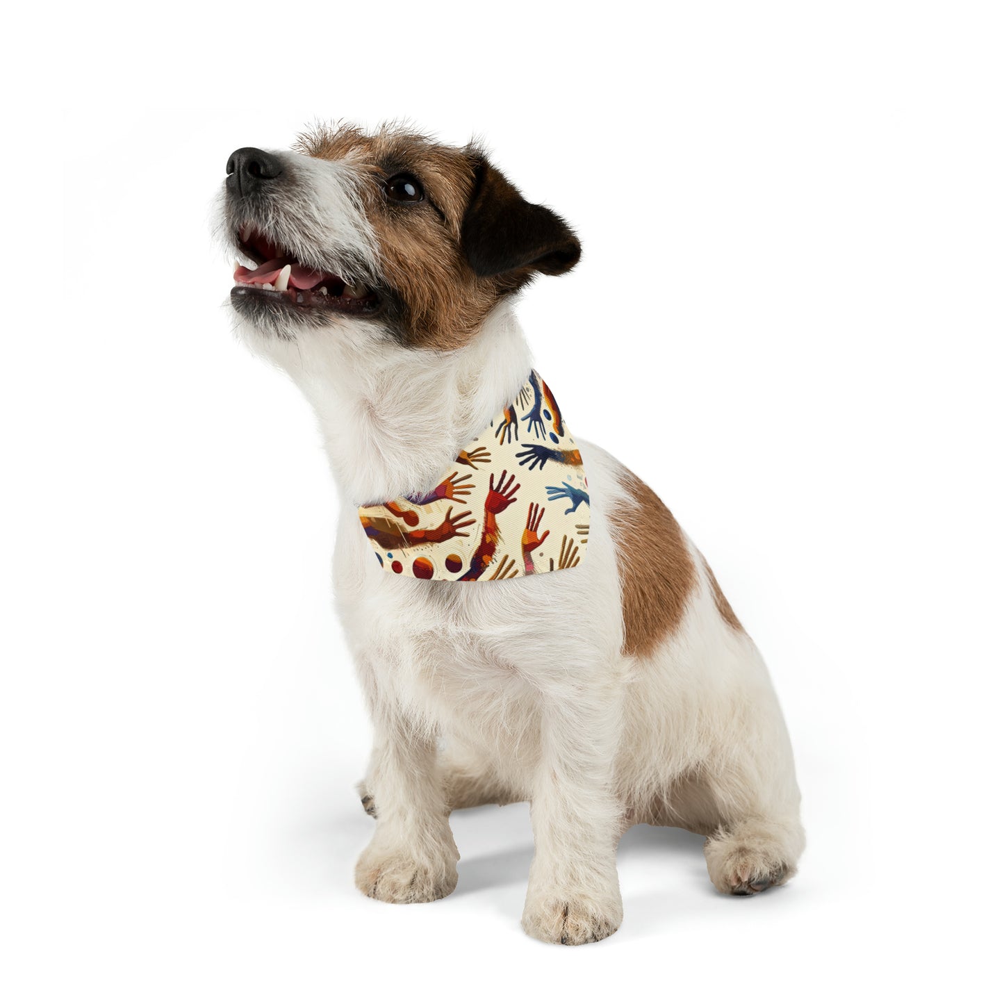 Architects Wisdom Tachism Pet Bandana Collar