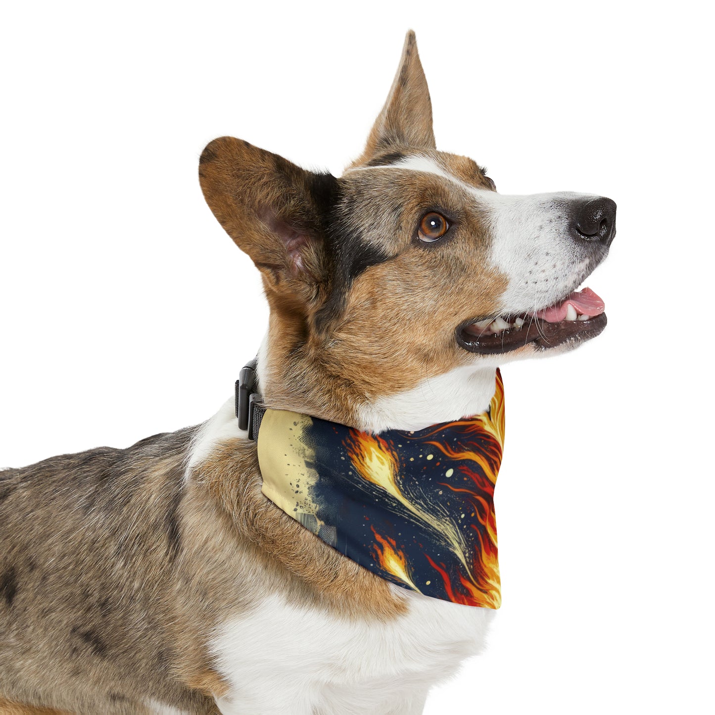 Ignition Change Catalyst Pet Bandana Collar