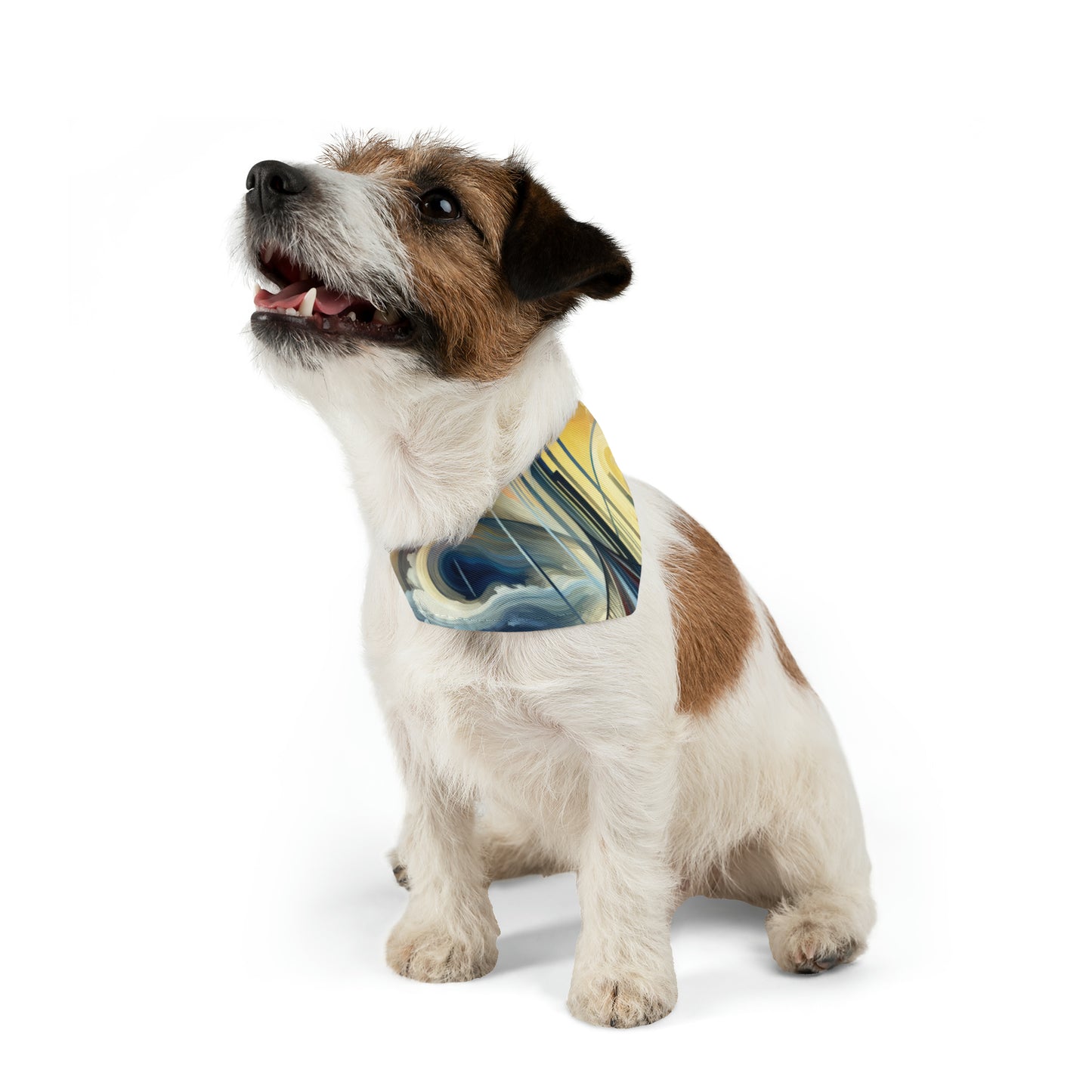 Conscious Bridge Tachism Pet Bandana Collar