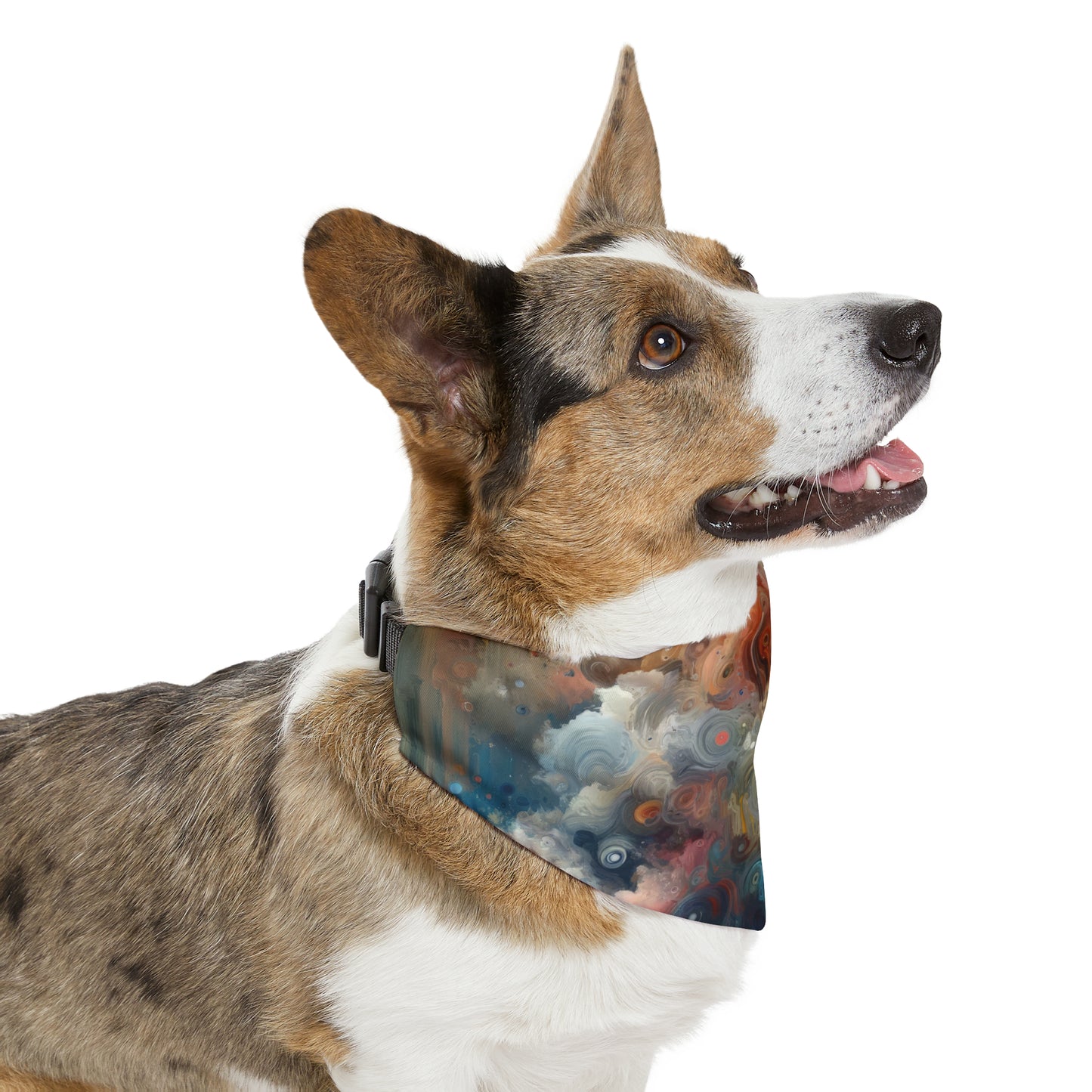 Abstract Beliefs Reflection Pet Bandana Collar