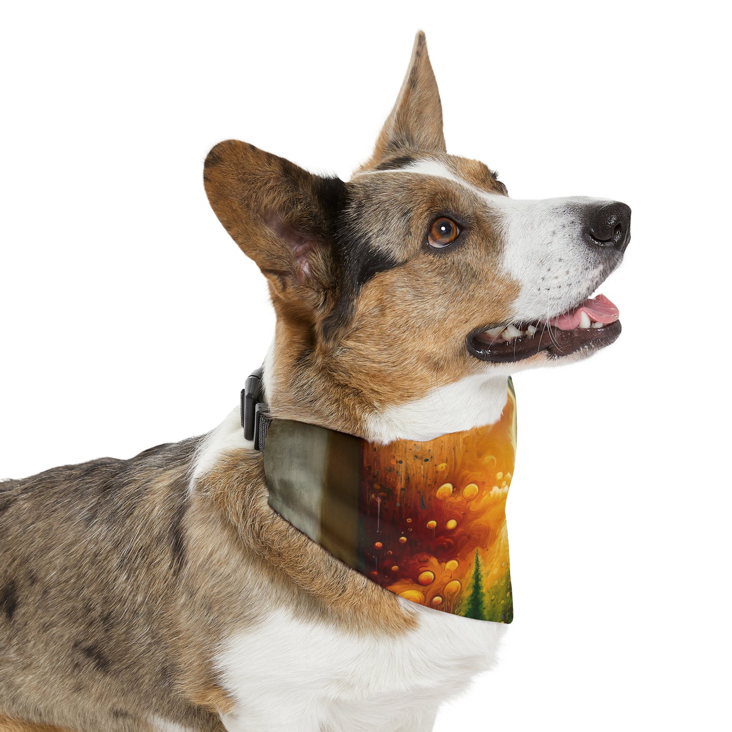 Disconnecting Harmonious Reconnection Pet Bandana Collar