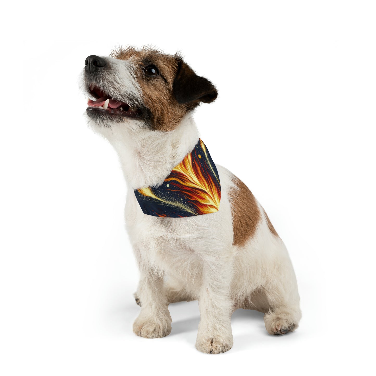 Ignition Change Catalyst Pet Bandana Collar