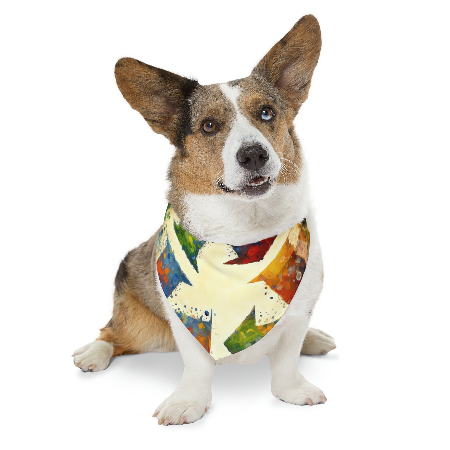 Sustainable Transformation Tachism Pet Bandana Collar